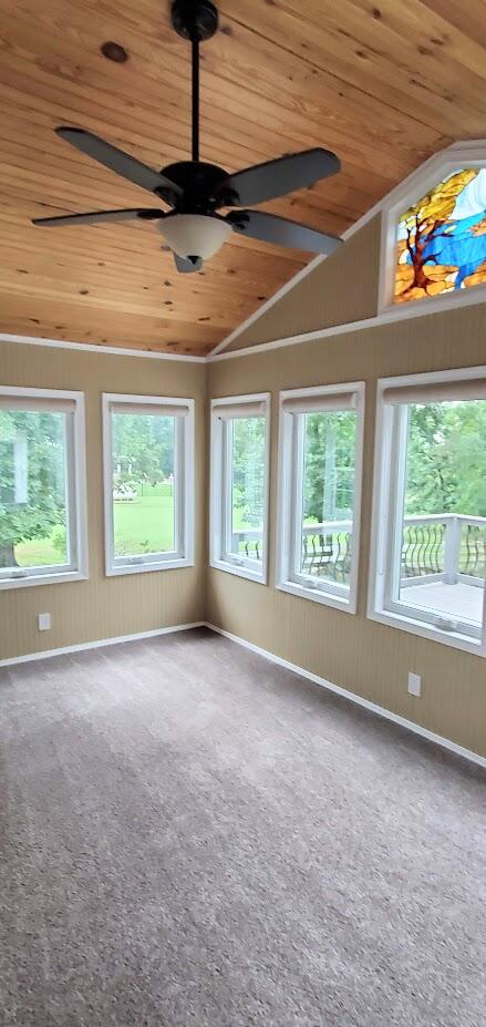 1536 Little Aunts Creek Road Property Photo 20
