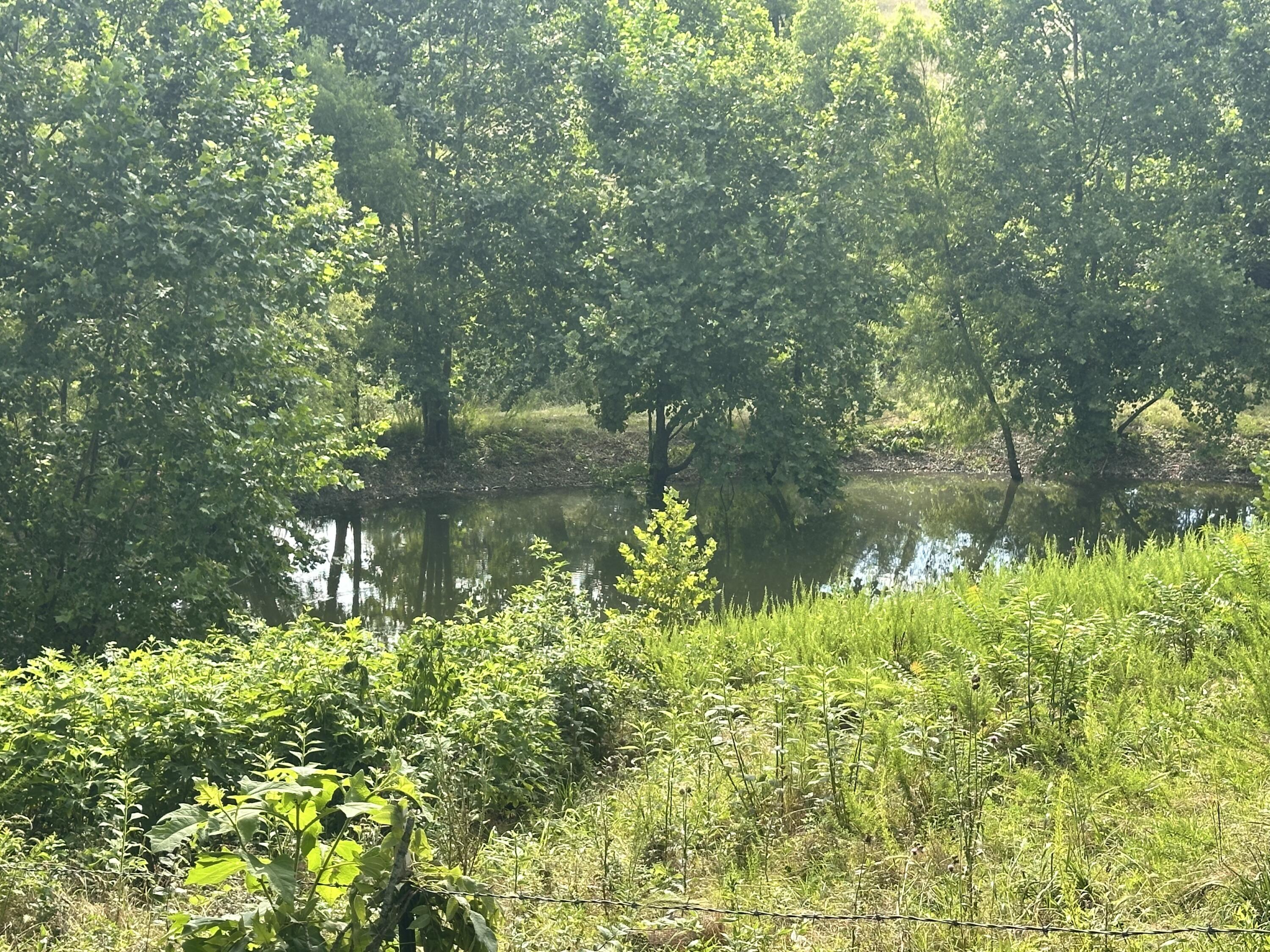 000 Prescott Road Property Photo 7