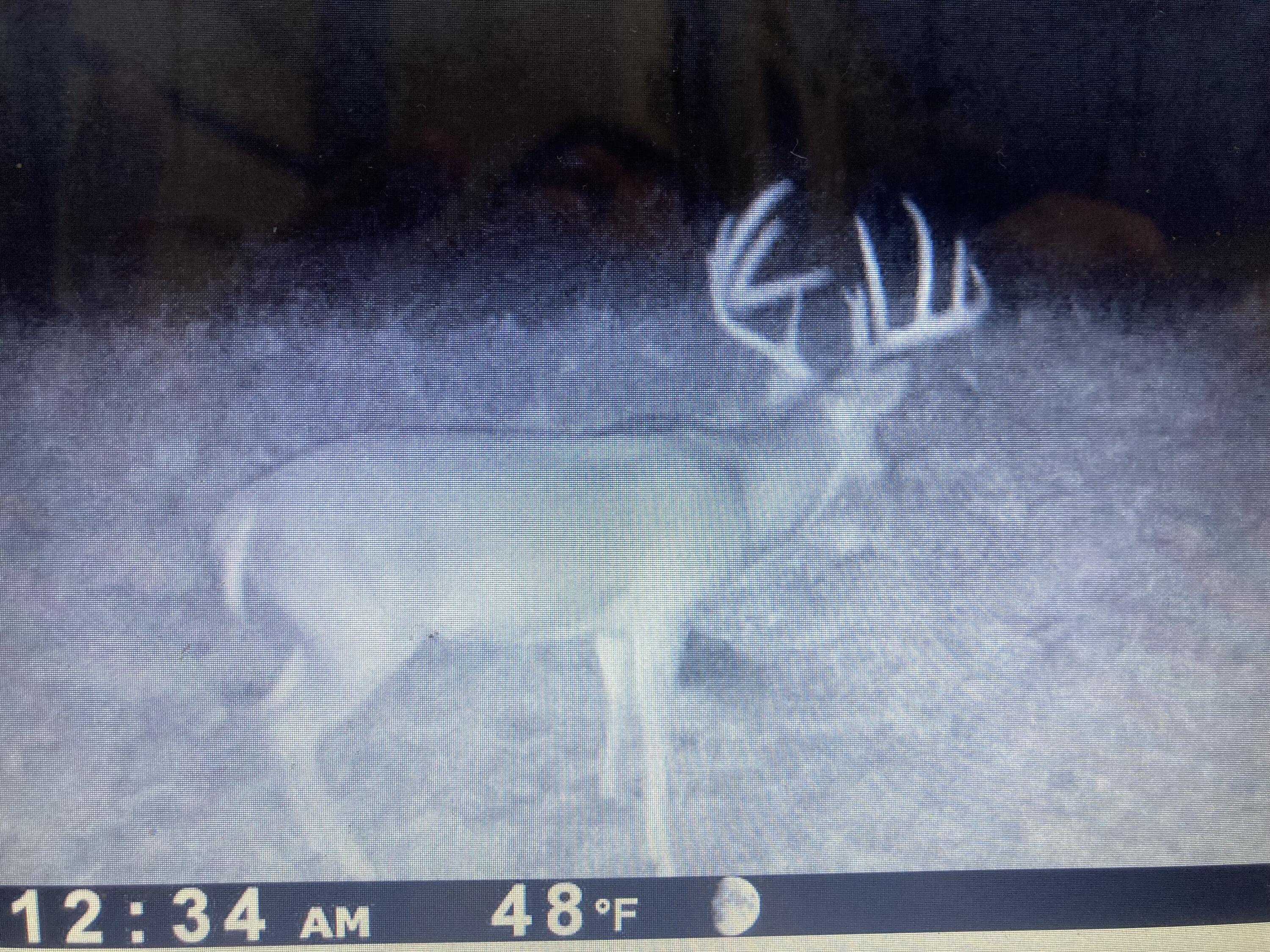 000 Prescott Road Property Photo 13