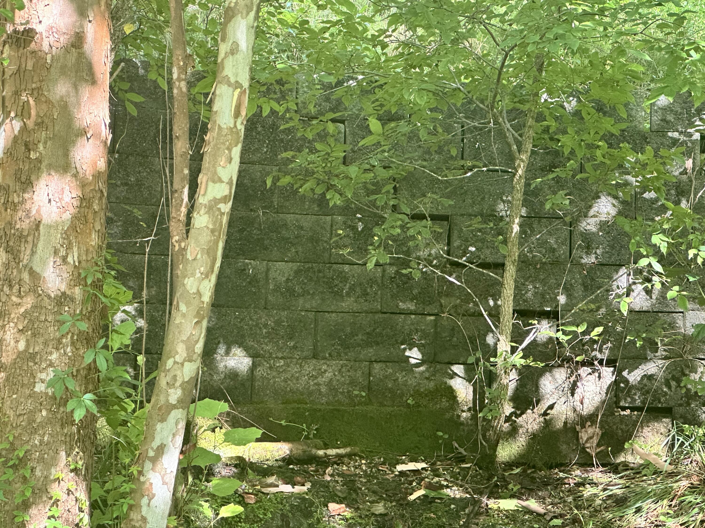 000 Prescott Road Property Photo 16