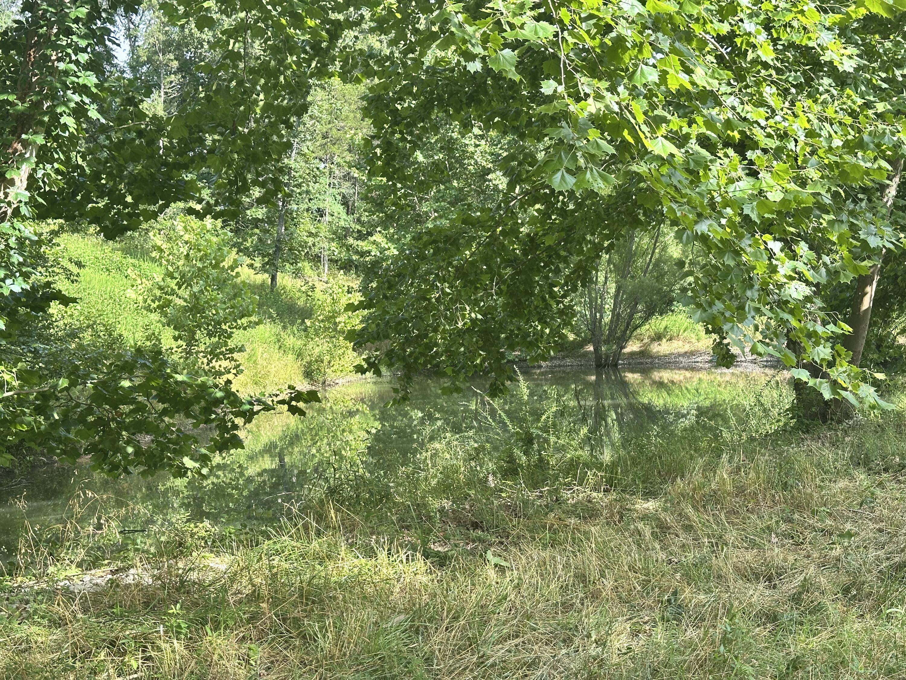 000 Prescott Road Property Photo 17