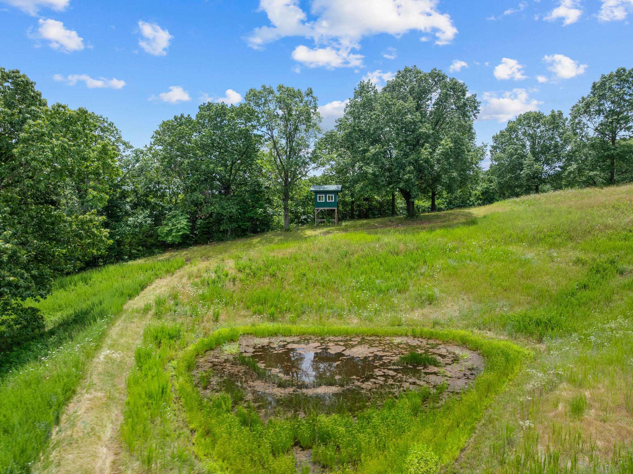 1155 Us Highway 160 Property Photo 63