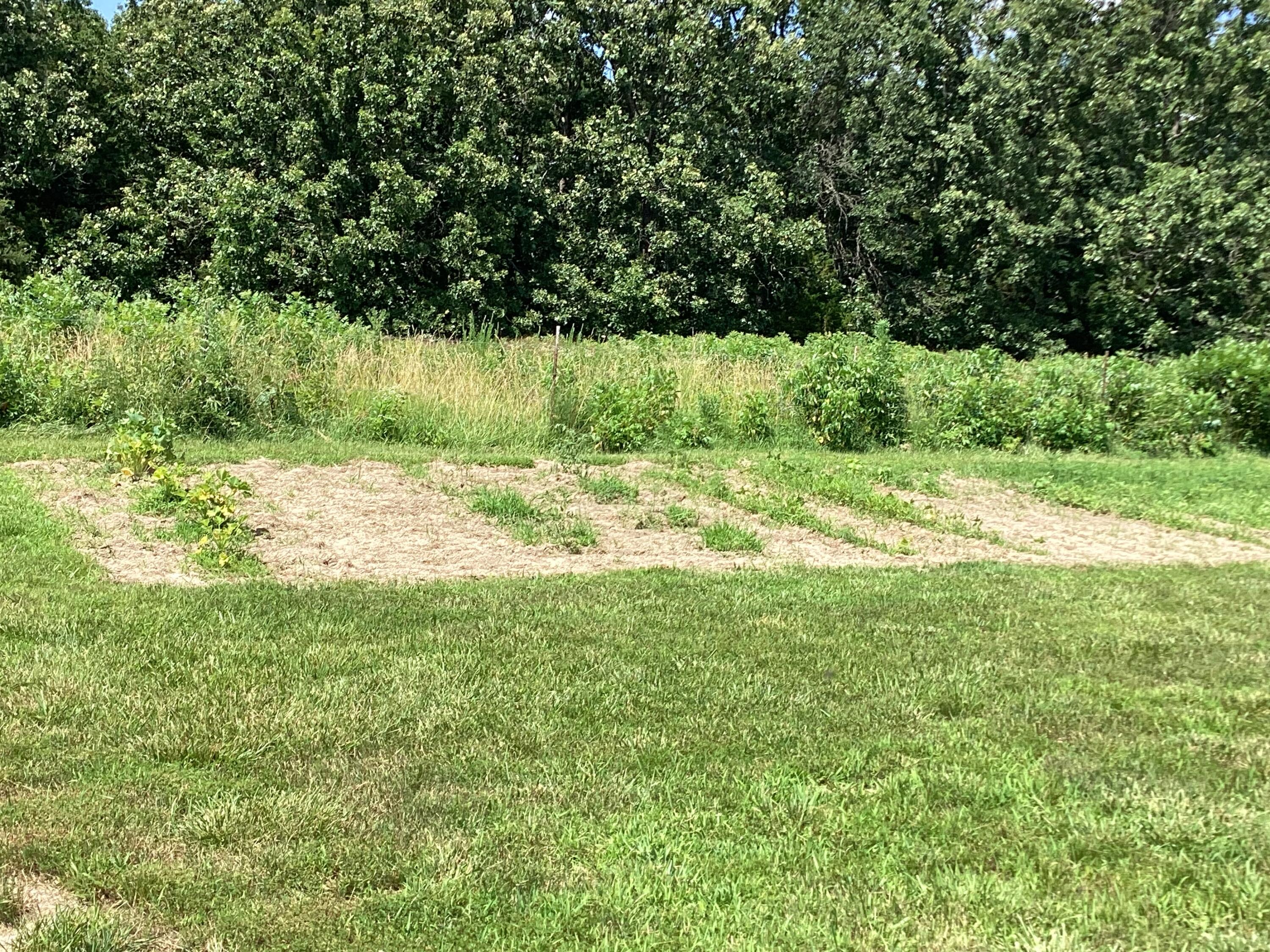12192 State Hwy 38 Property Photo 50