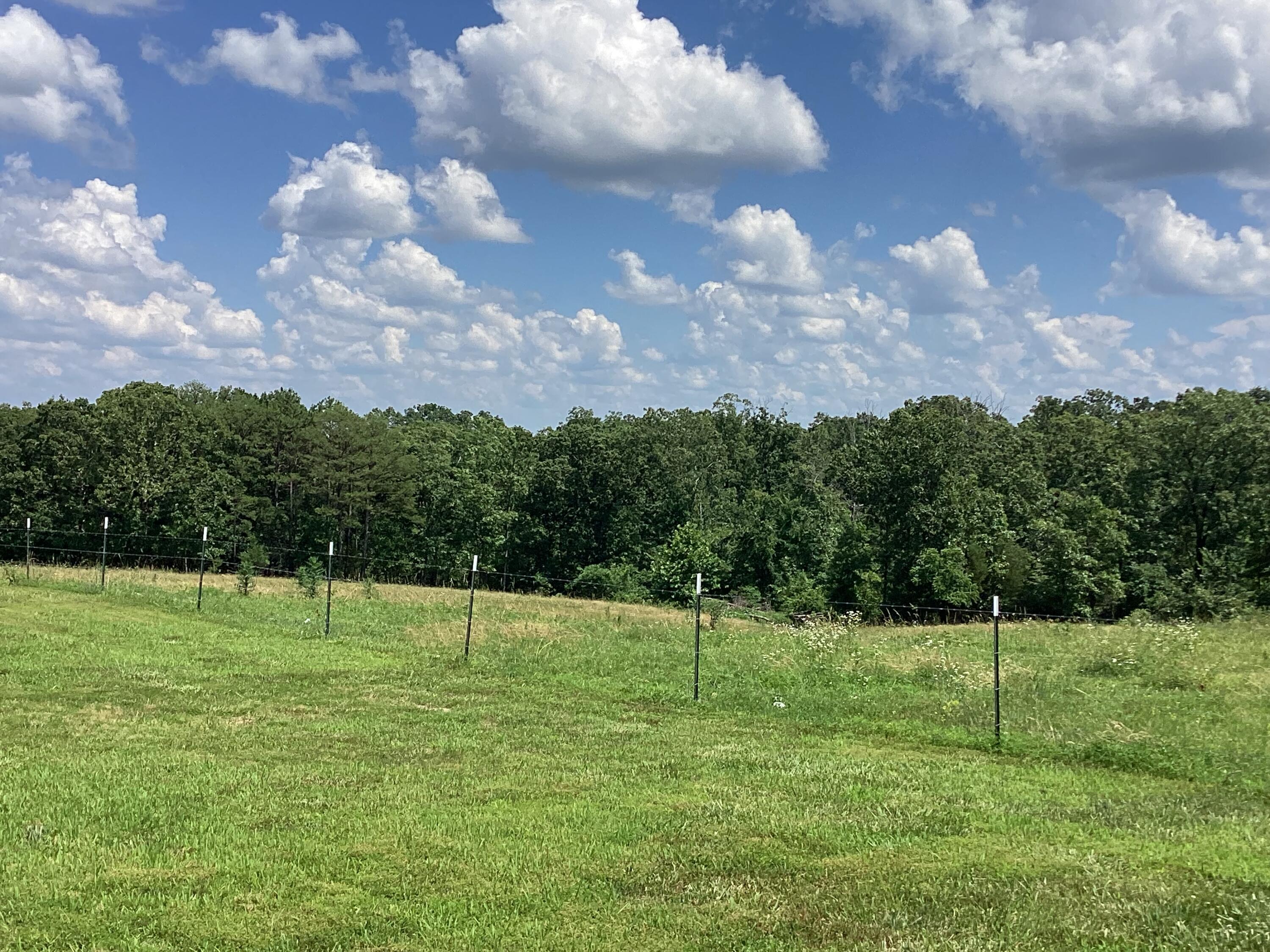12192 State Hwy 38 Property Photo 51