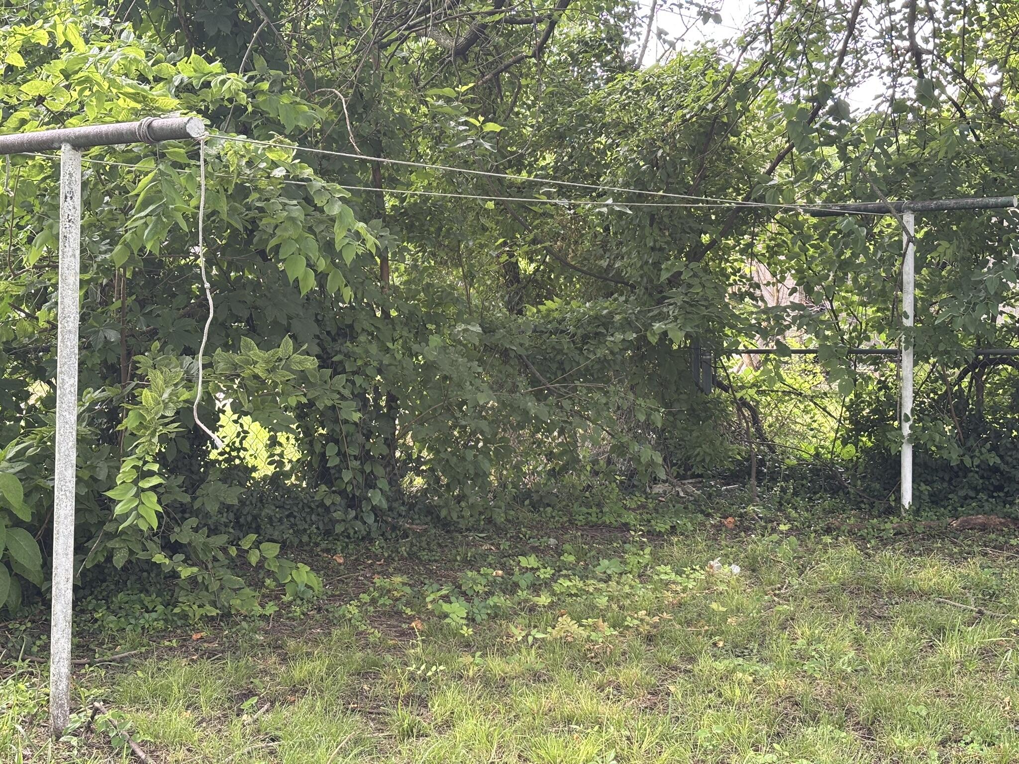 815 Empire Avenue Property Photo 6