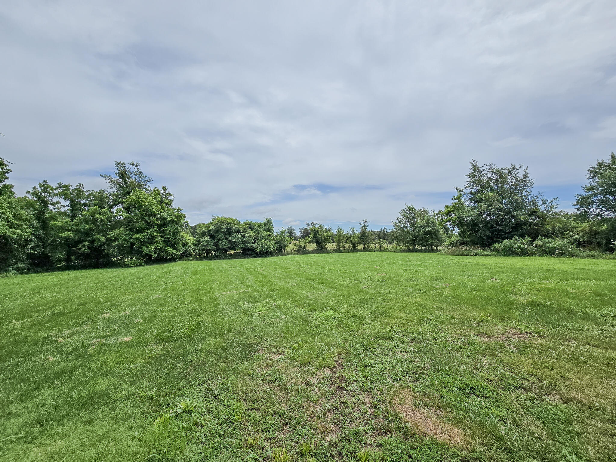 274 State Highway Bb Property Photo 10