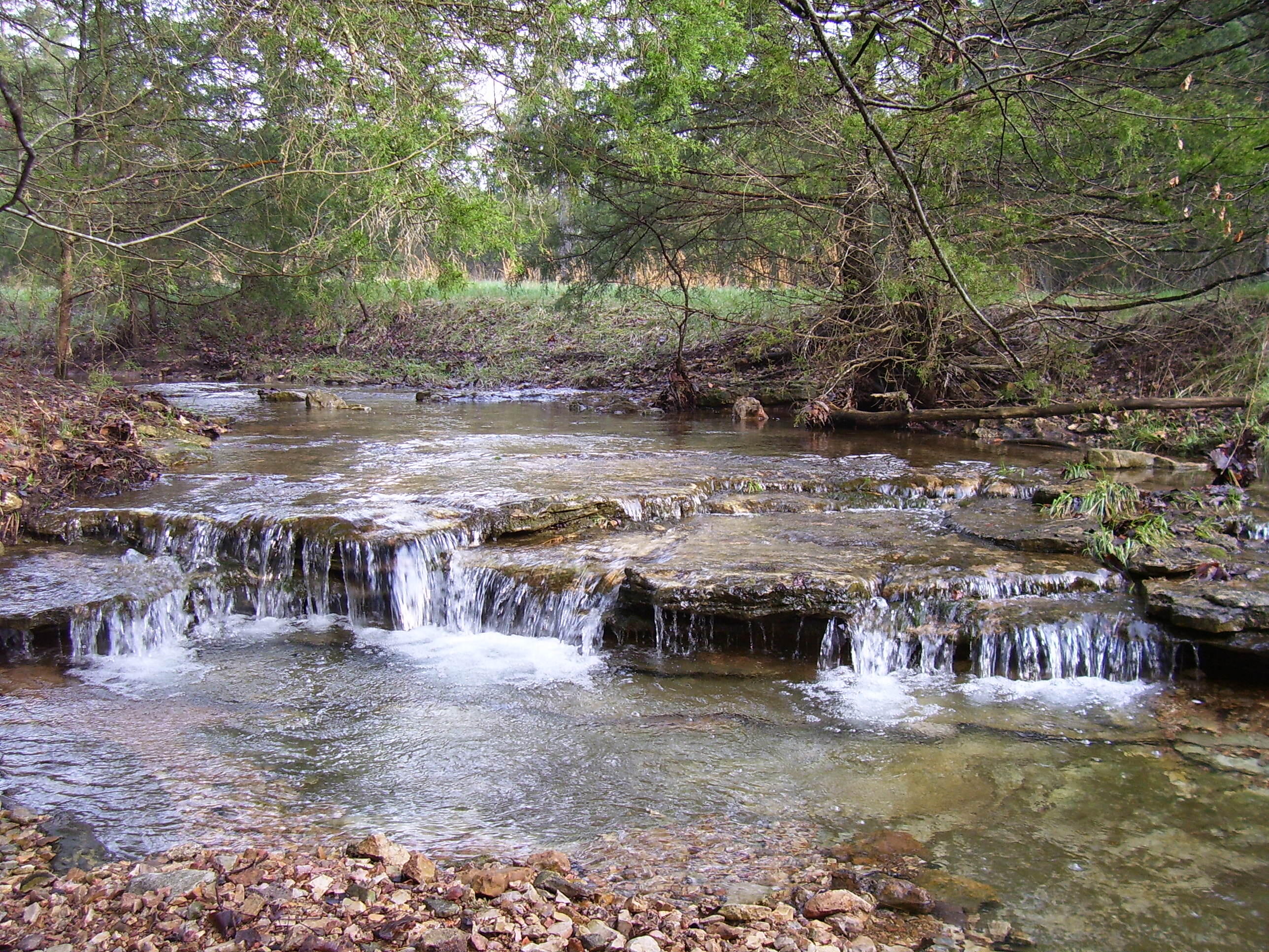 19358 Farm Road 2145 Property Photo 1