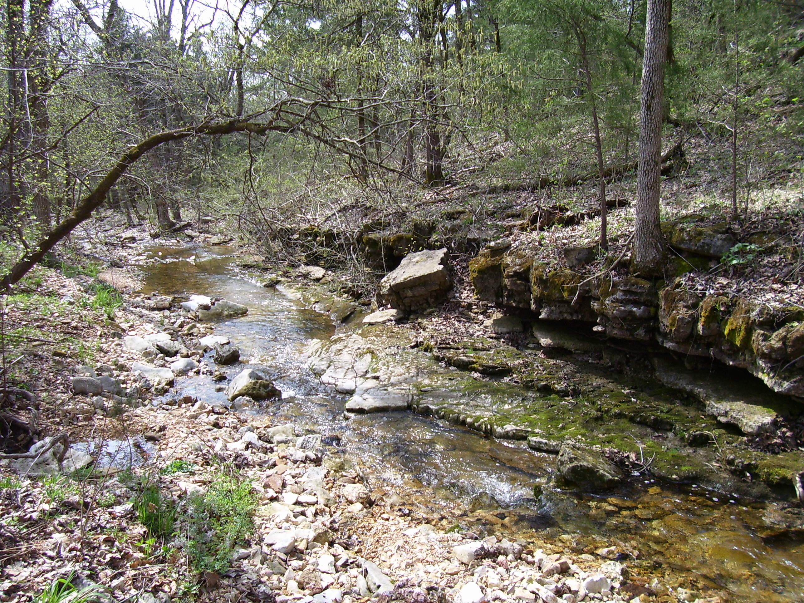 19358 Farm Road 2145 Property Photo 2