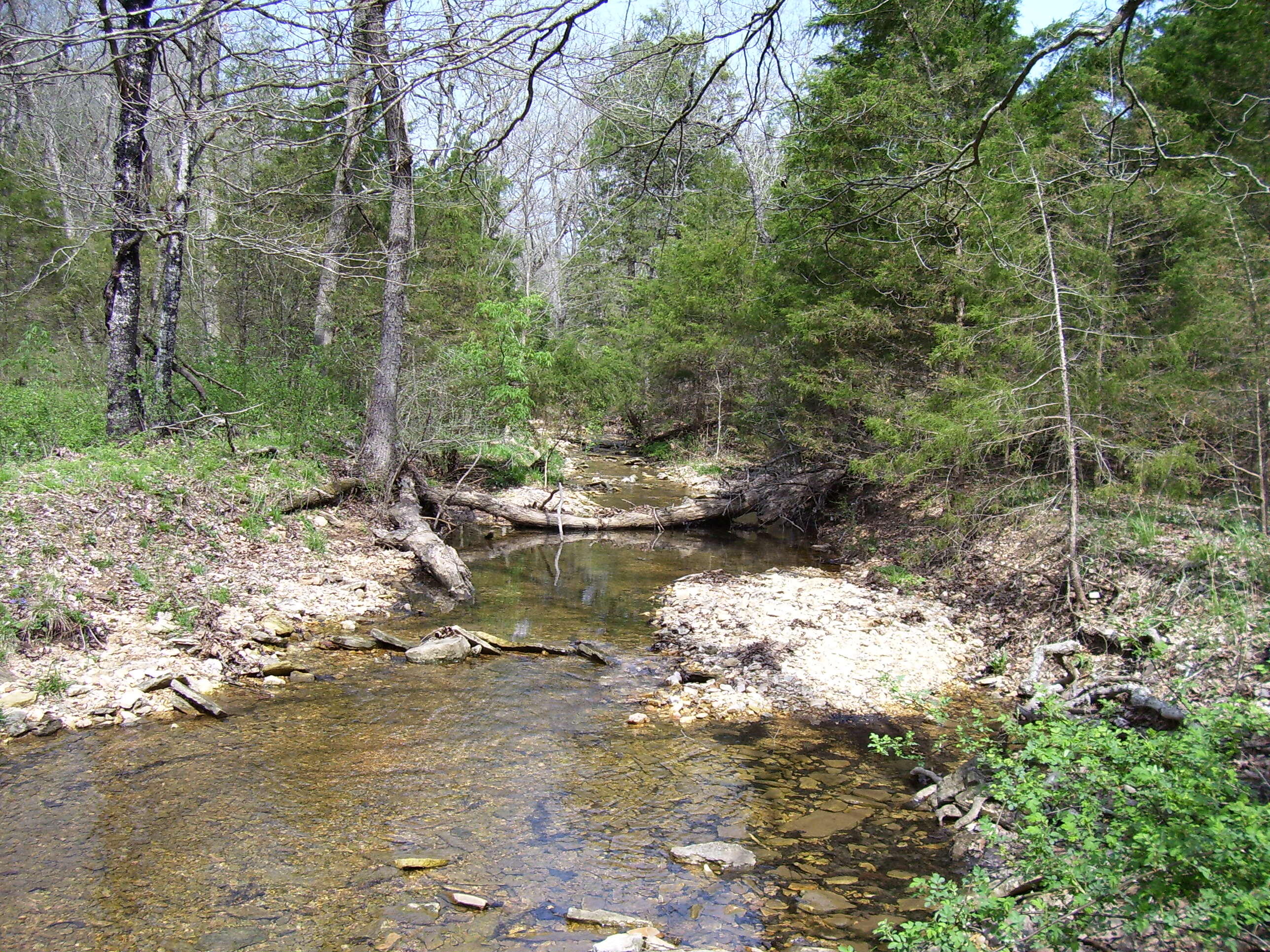 19358 Farm Road 2145 Property Photo 3