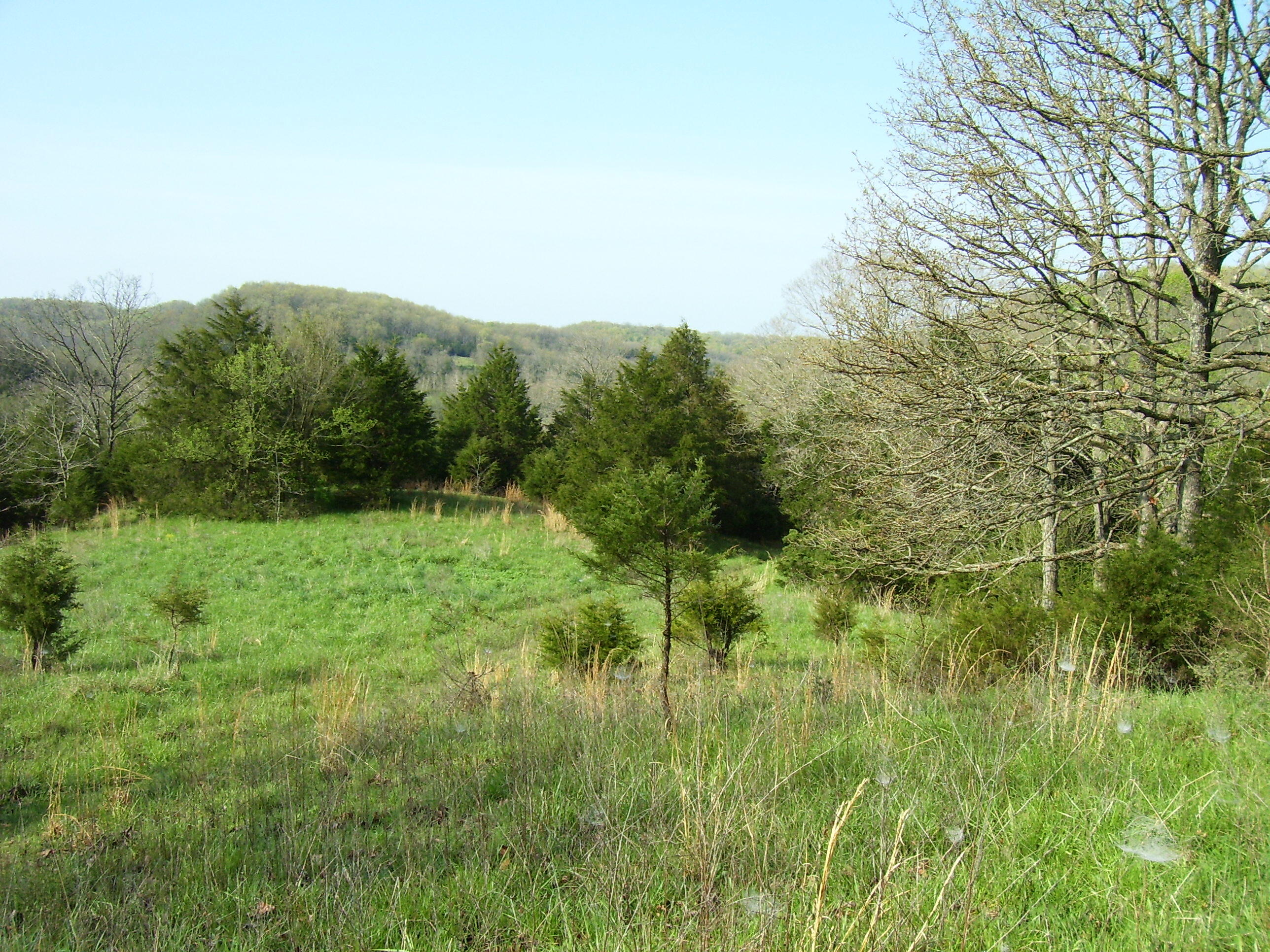 19358 Farm Road 2145 Property Photo 4