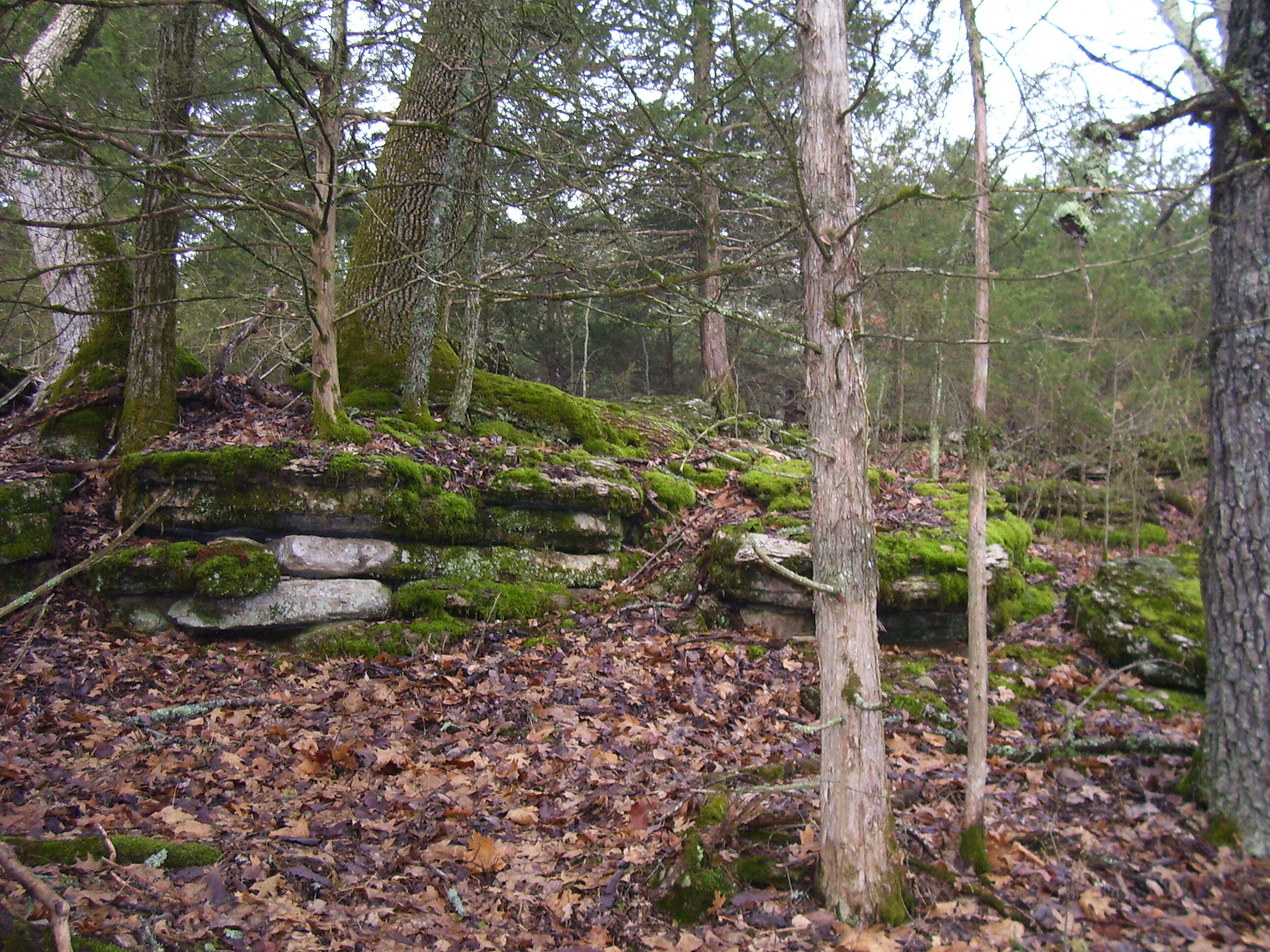 19358 Farm Road 2145 Property Photo 5