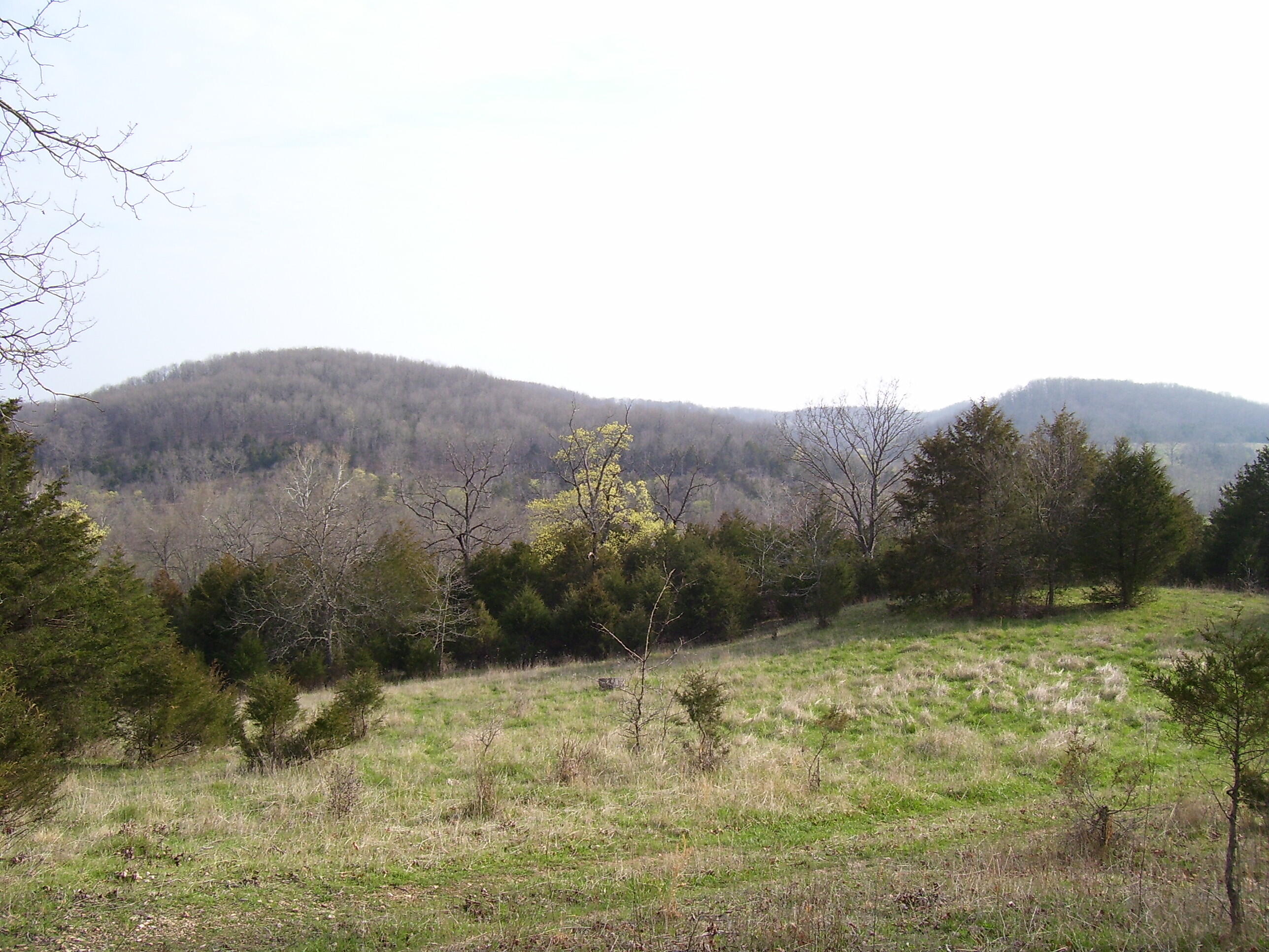 19358 Farm Road 2145 Property Photo 6