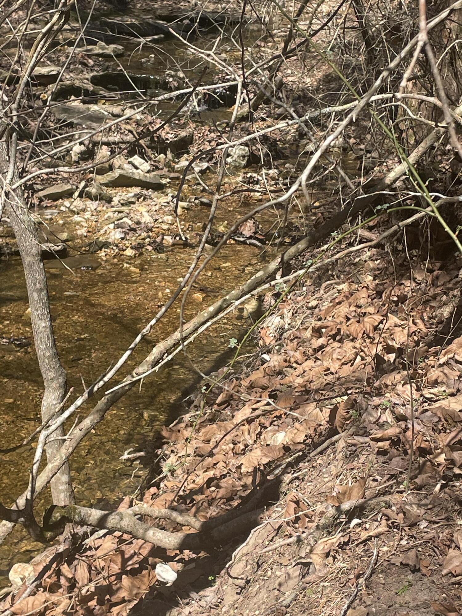 19358 Farm Road 2145 Property Photo 7