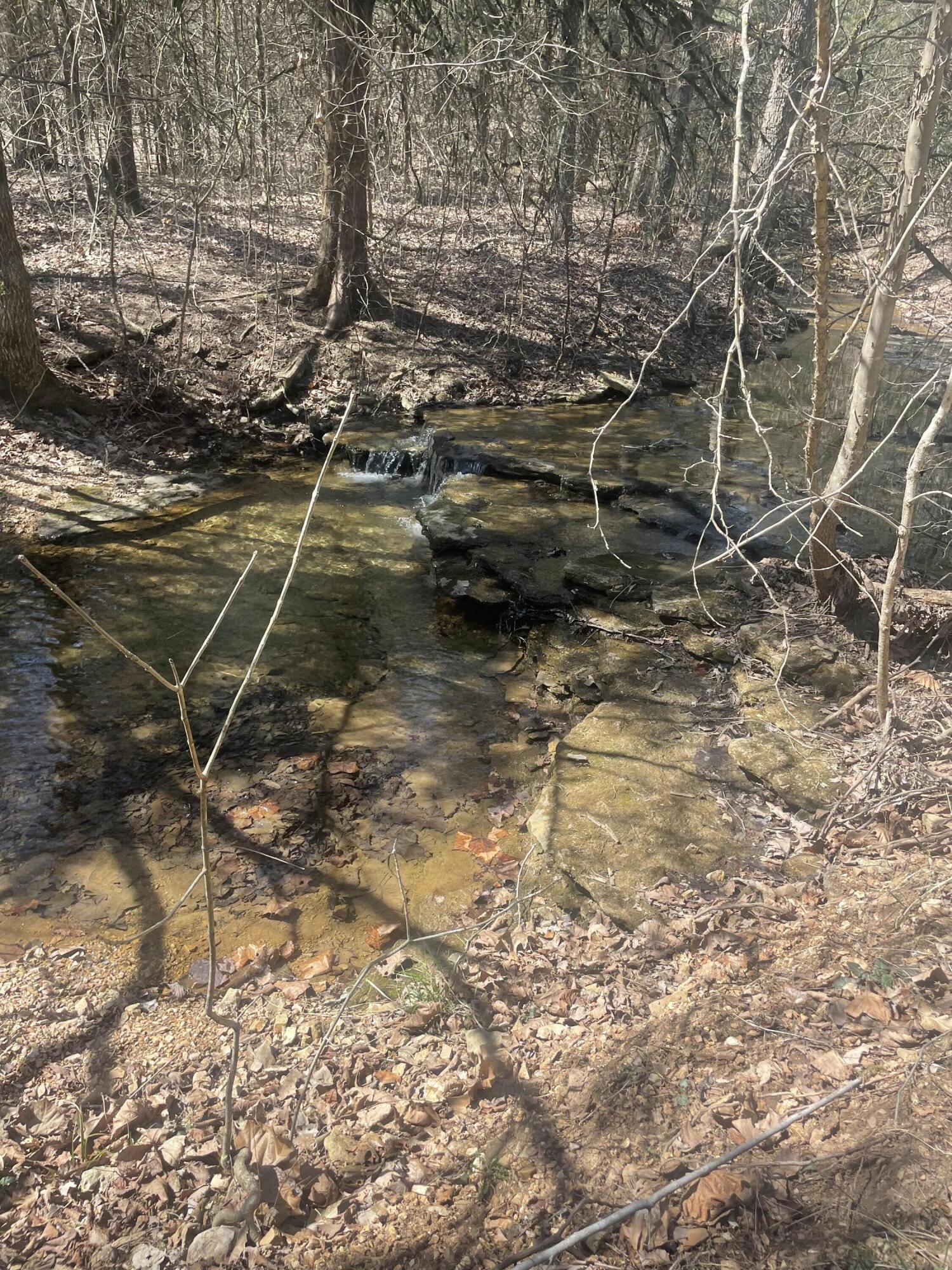 19358 Farm Road 2145 Property Photo 8