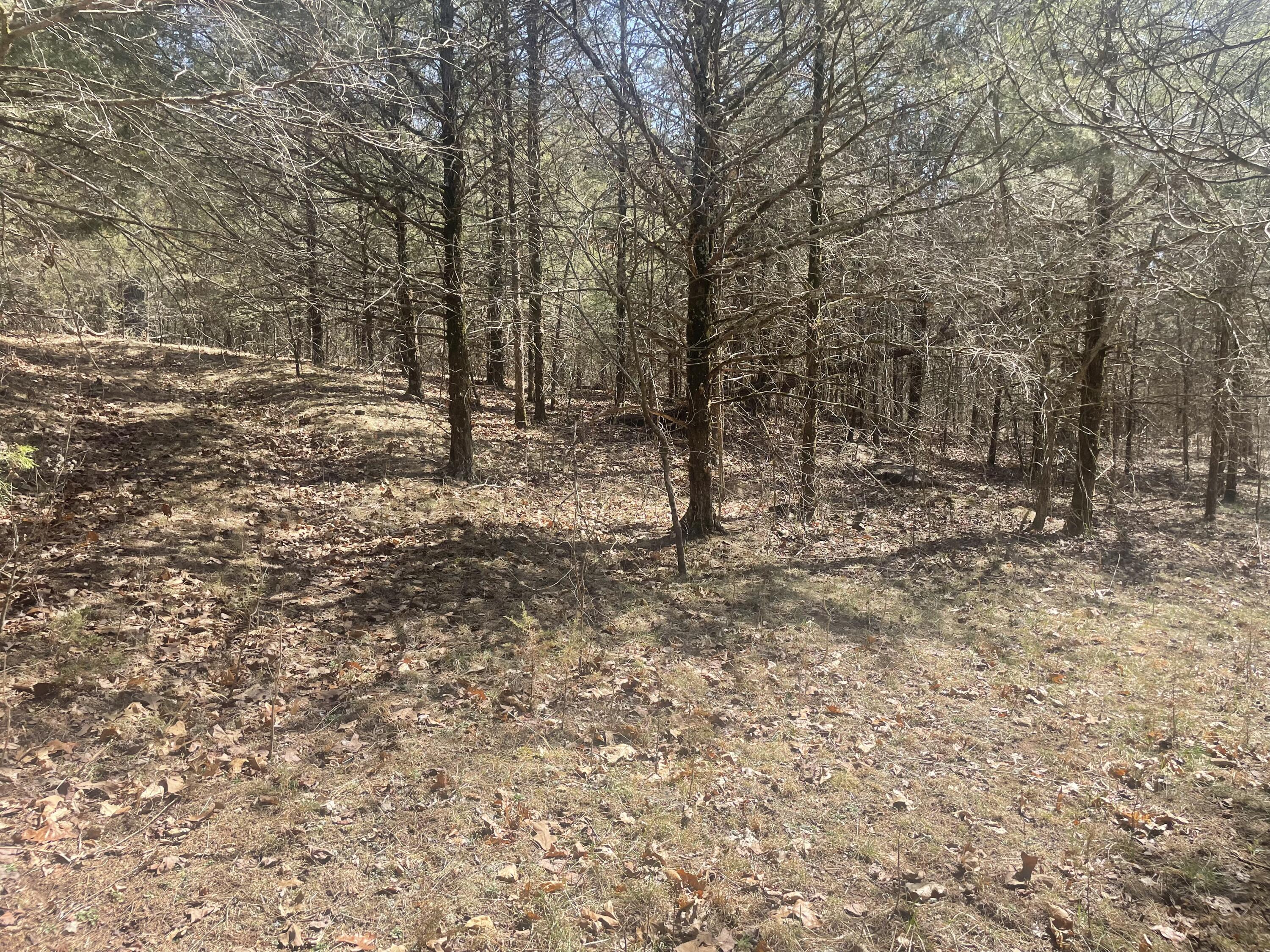 19358 Farm Road 2145 Property Photo 9