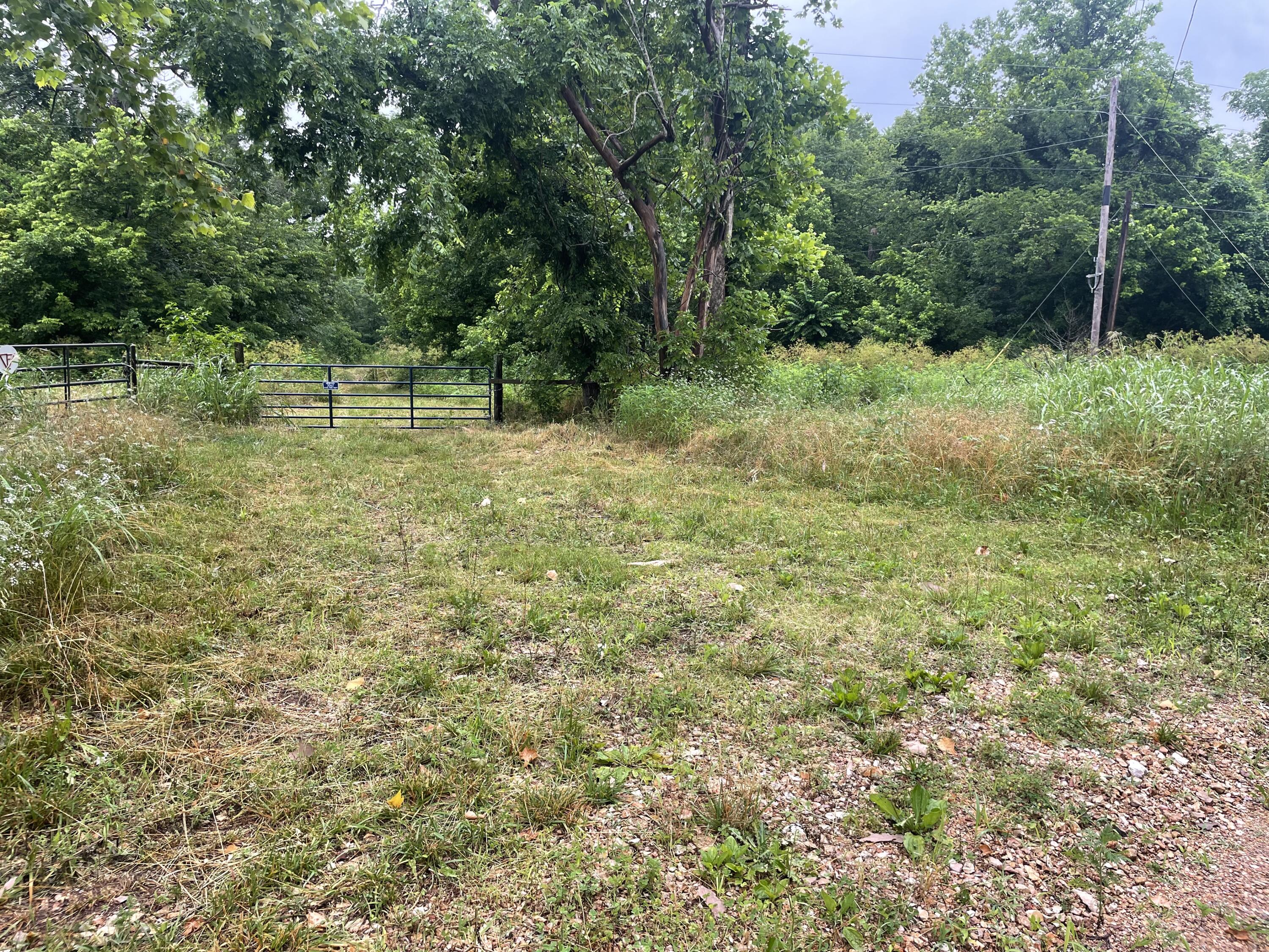 19358 Farm Road 2145 Property Photo 11