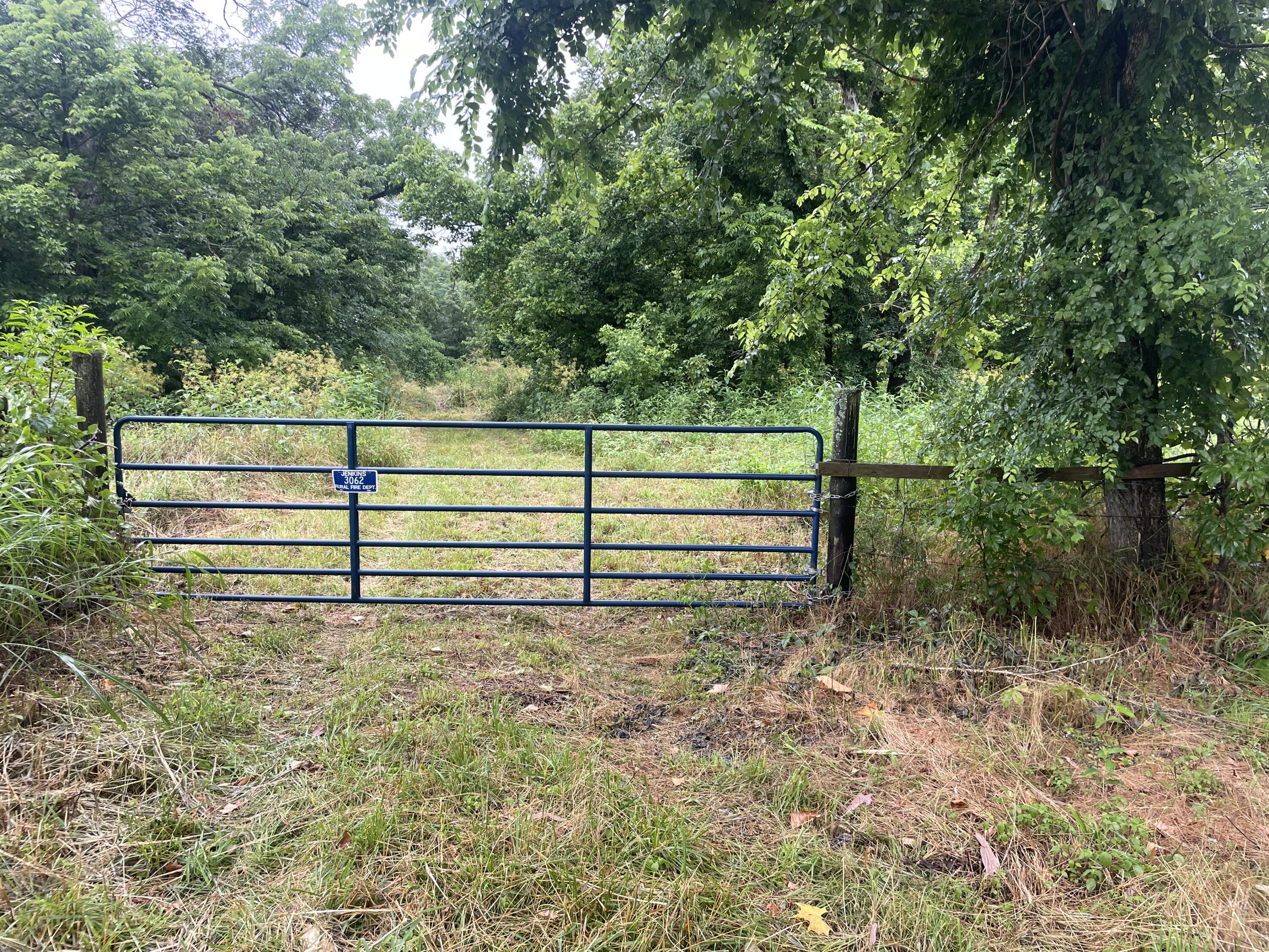 19358 Farm Road 2145 Property Photo 12