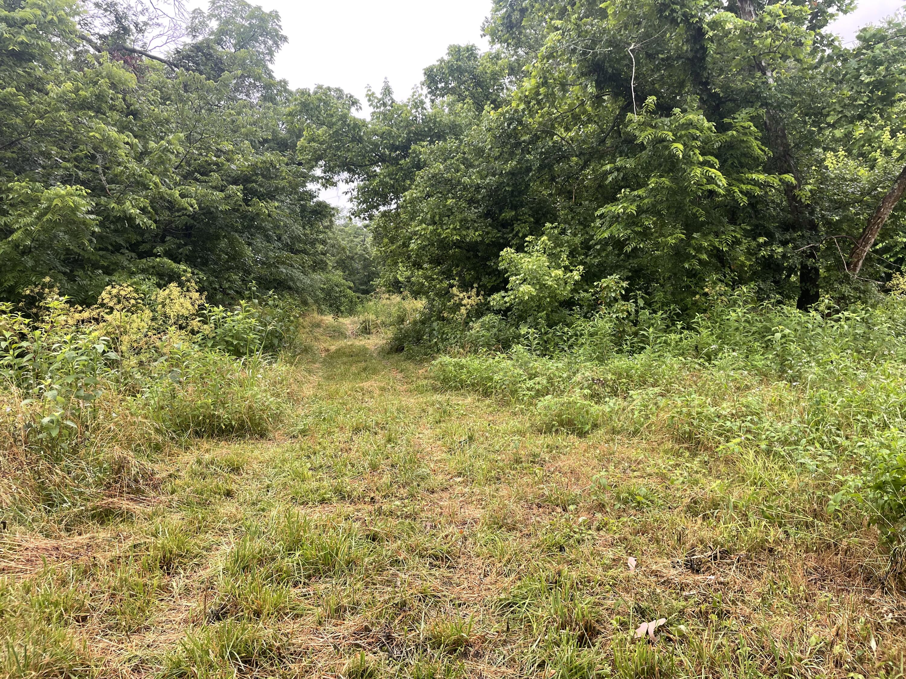 19358 Farm Road 2145 Property Photo 13