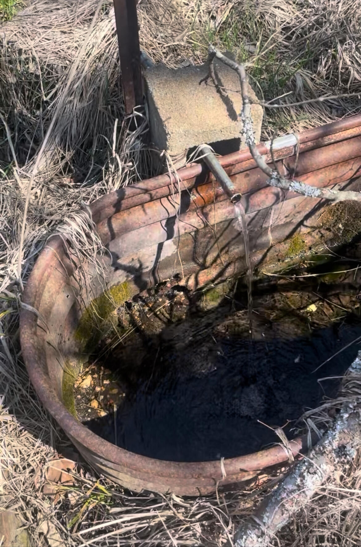 19358 Farm Road 2145 Property Photo 19