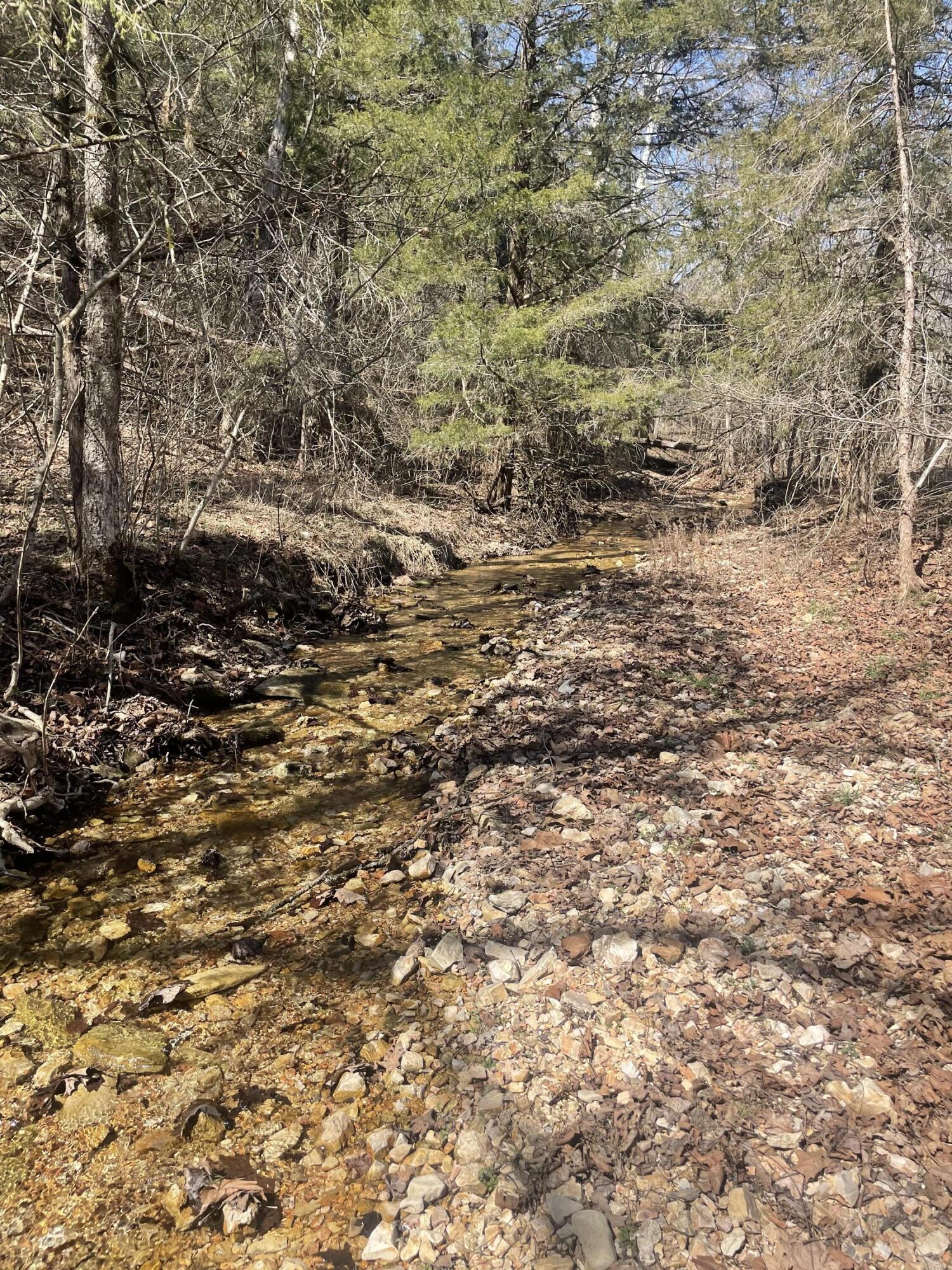 19358 Farm Road 2145 Property Photo 20