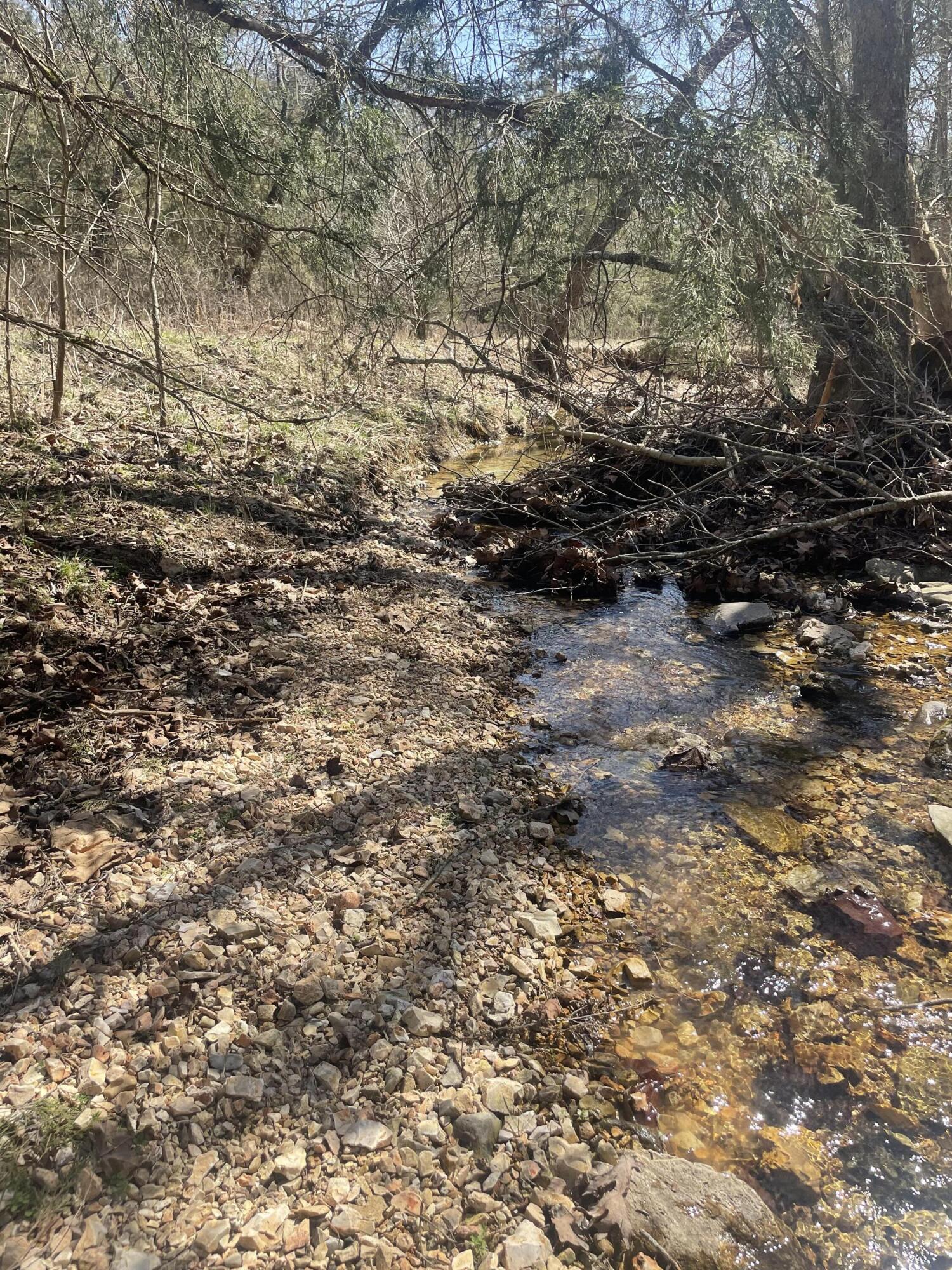 19358 Farm Road 2145 Property Photo 21