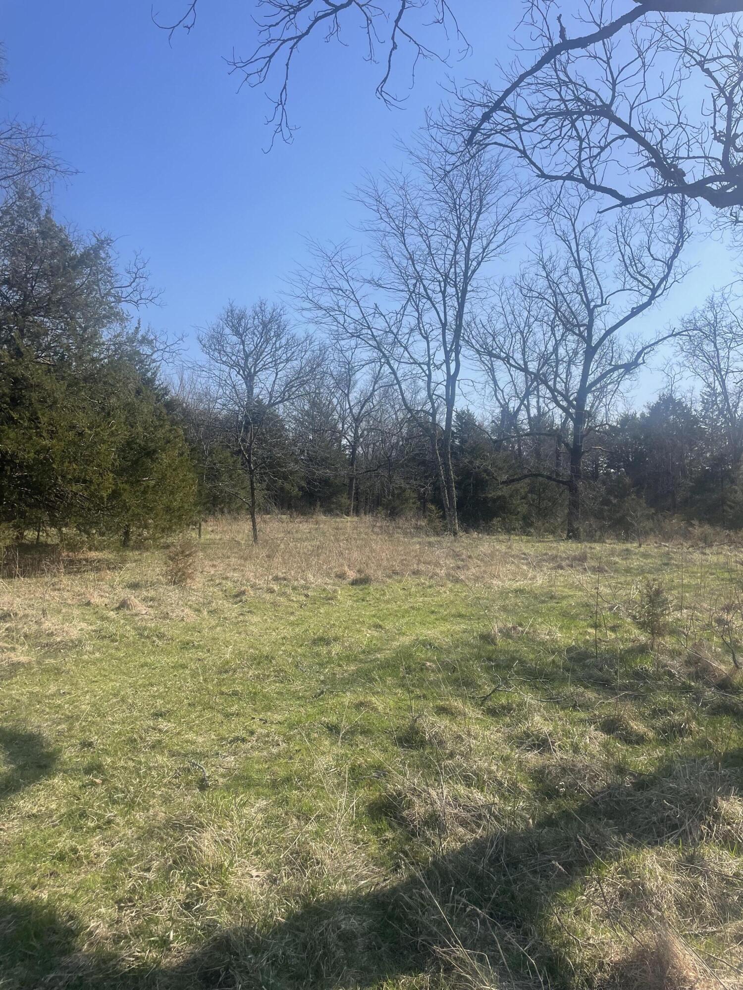 19358 Farm Road 2145 Property Photo 22