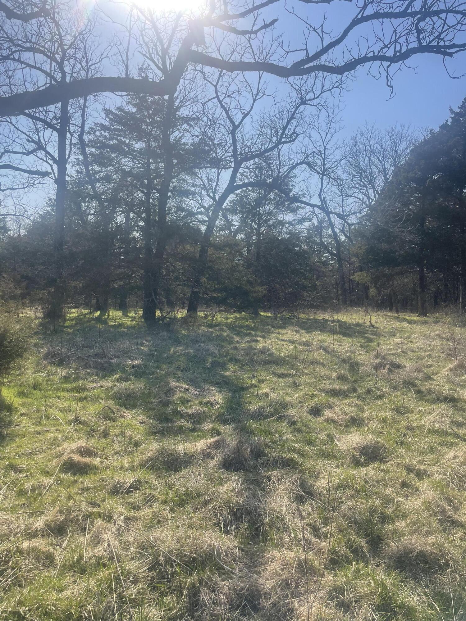 19358 Farm Road 2145 Property Photo 23