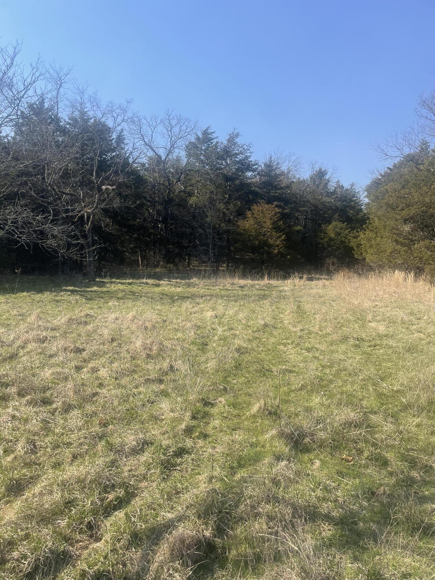 19358 Farm Road 2145 Property Photo 24