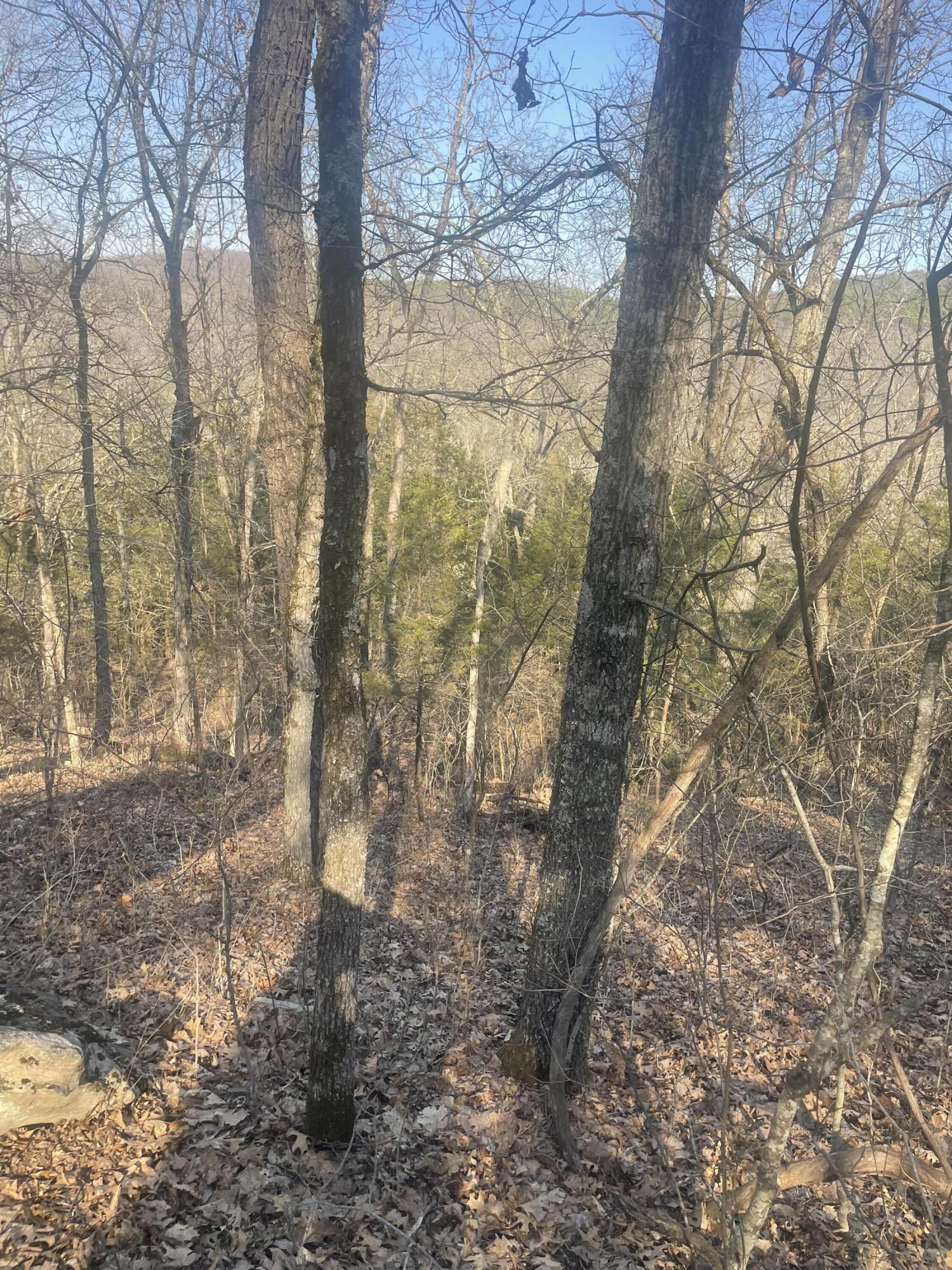 19358 Farm Road 2145 Property Photo 25