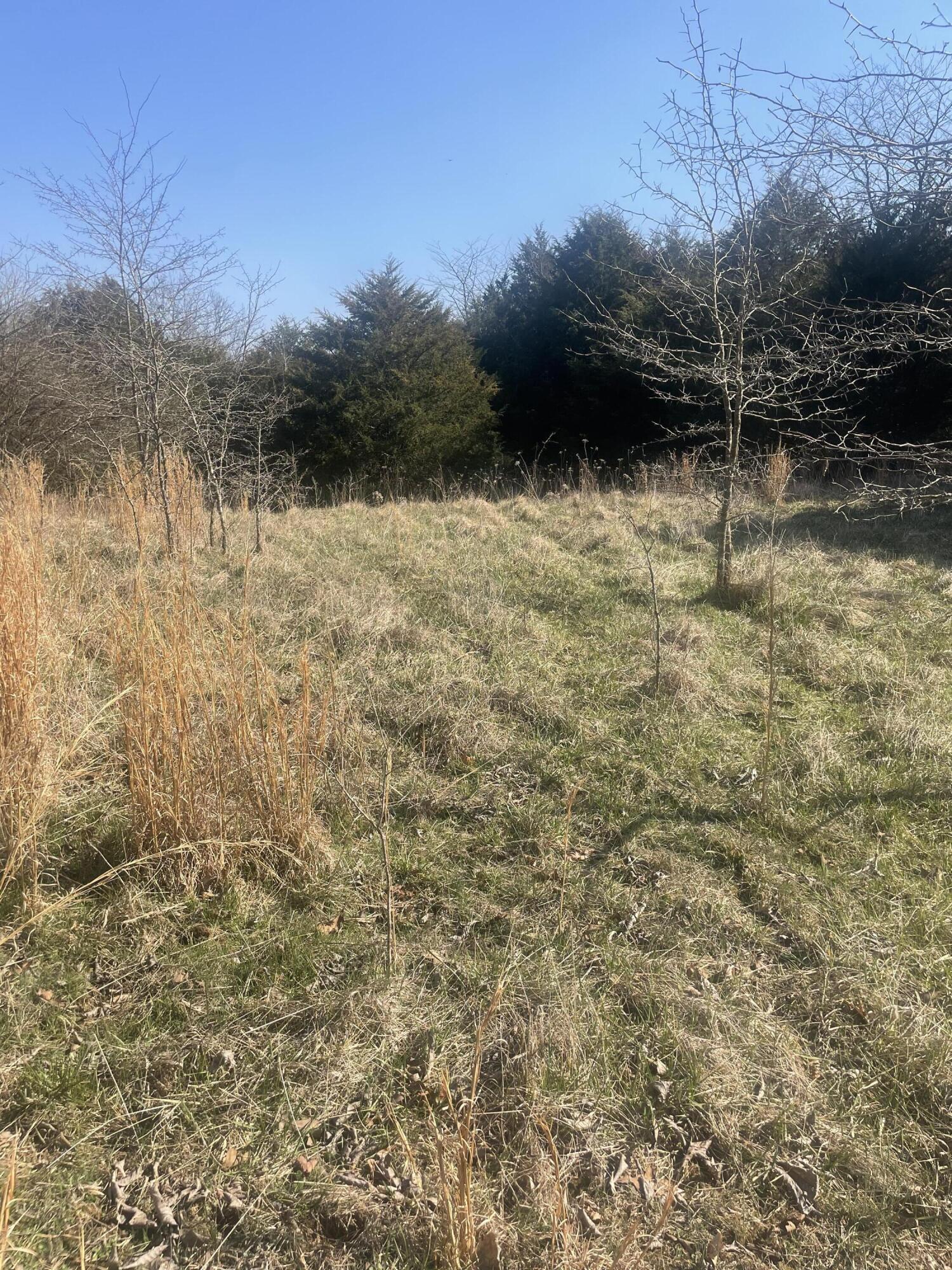 19358 Farm Road 2145 Property Photo 26