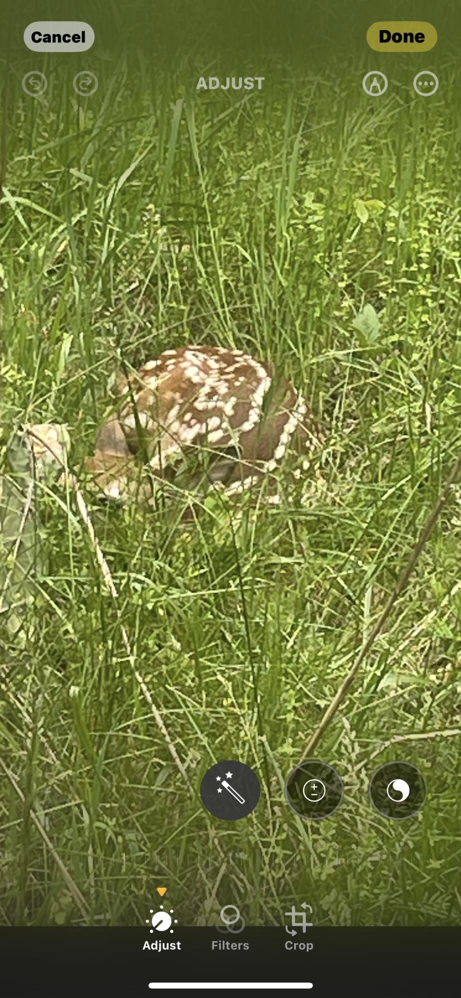 19358 Farm Road 2145 Property Photo 27