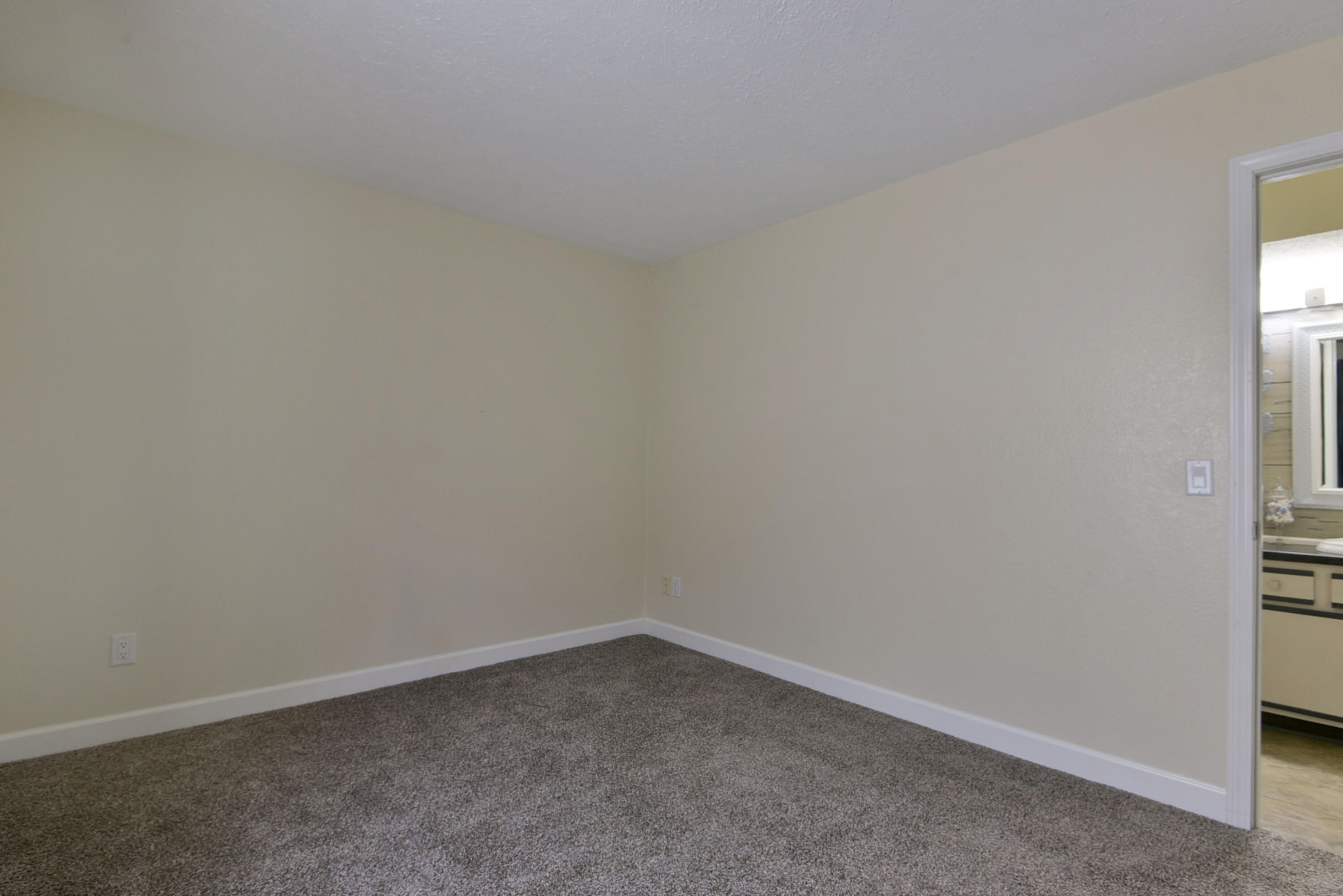 12 Scenic Court Property Photo 19