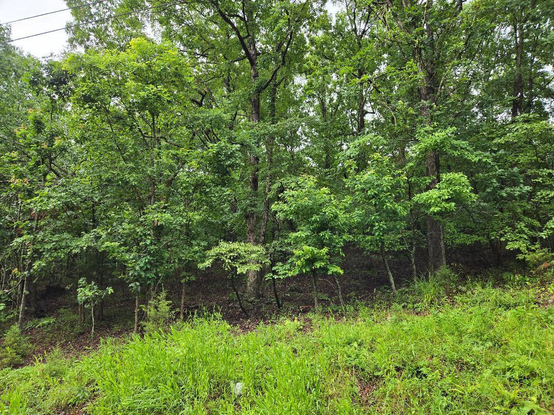 Lot 894 Property Photo 1