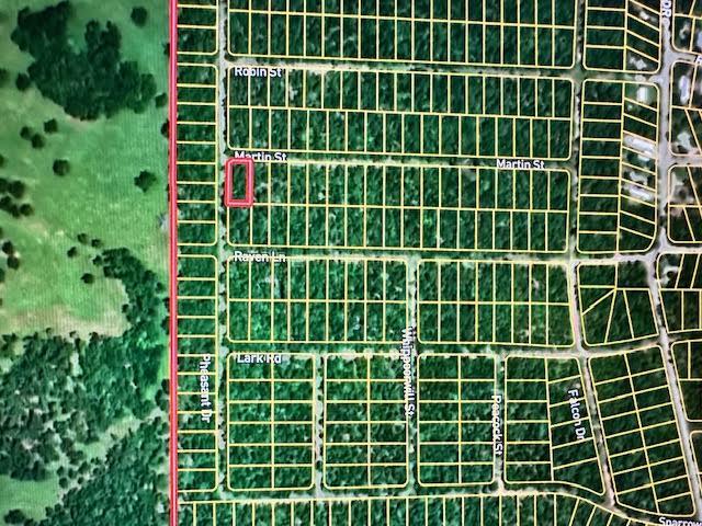 1519 Martin Street Property Photo 1