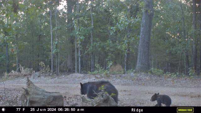 000 County Road 630 Property Photo 1