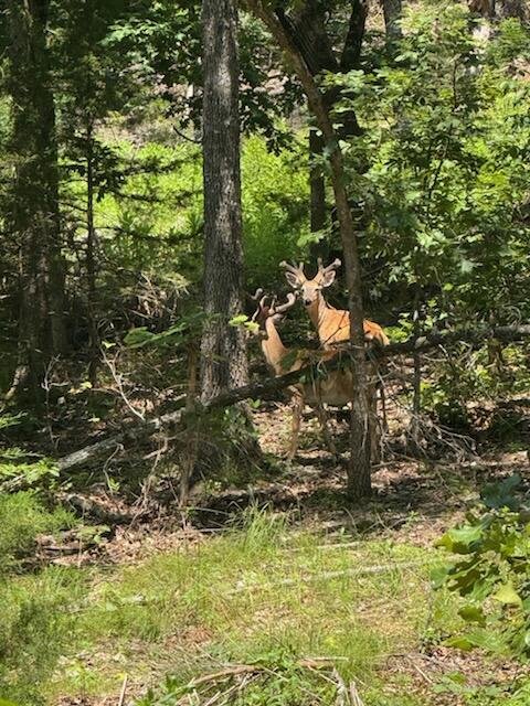 000 County Road 630 Property Photo 3