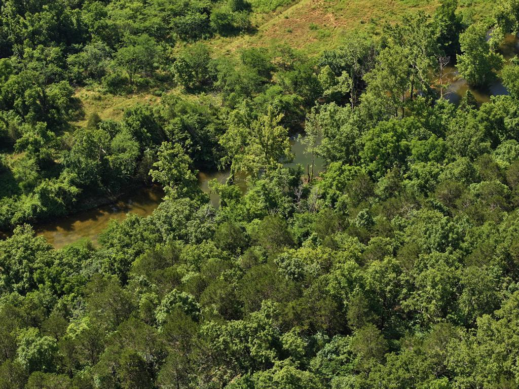 000 County Road 630 Property Photo 7