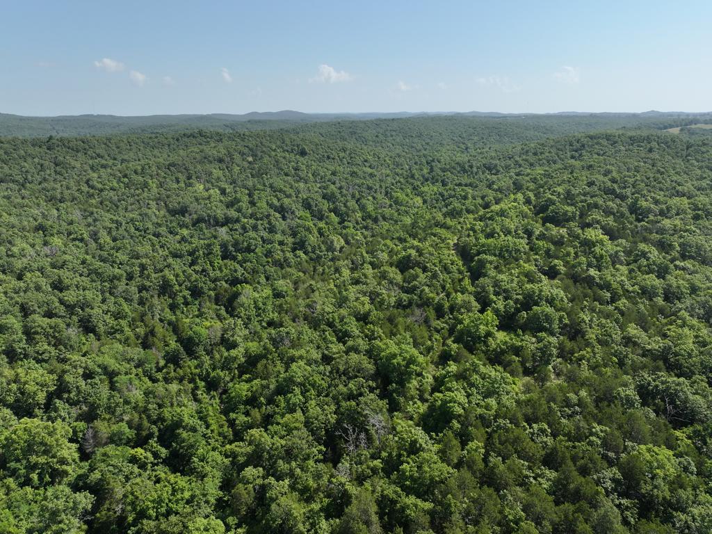 000 County Road 630 Property Photo 20