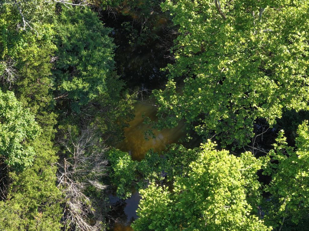 000 County Road 630 Property Photo 25