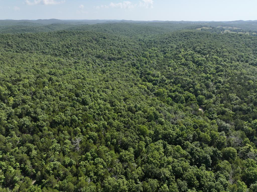 000 County Road 630 Property Photo 28