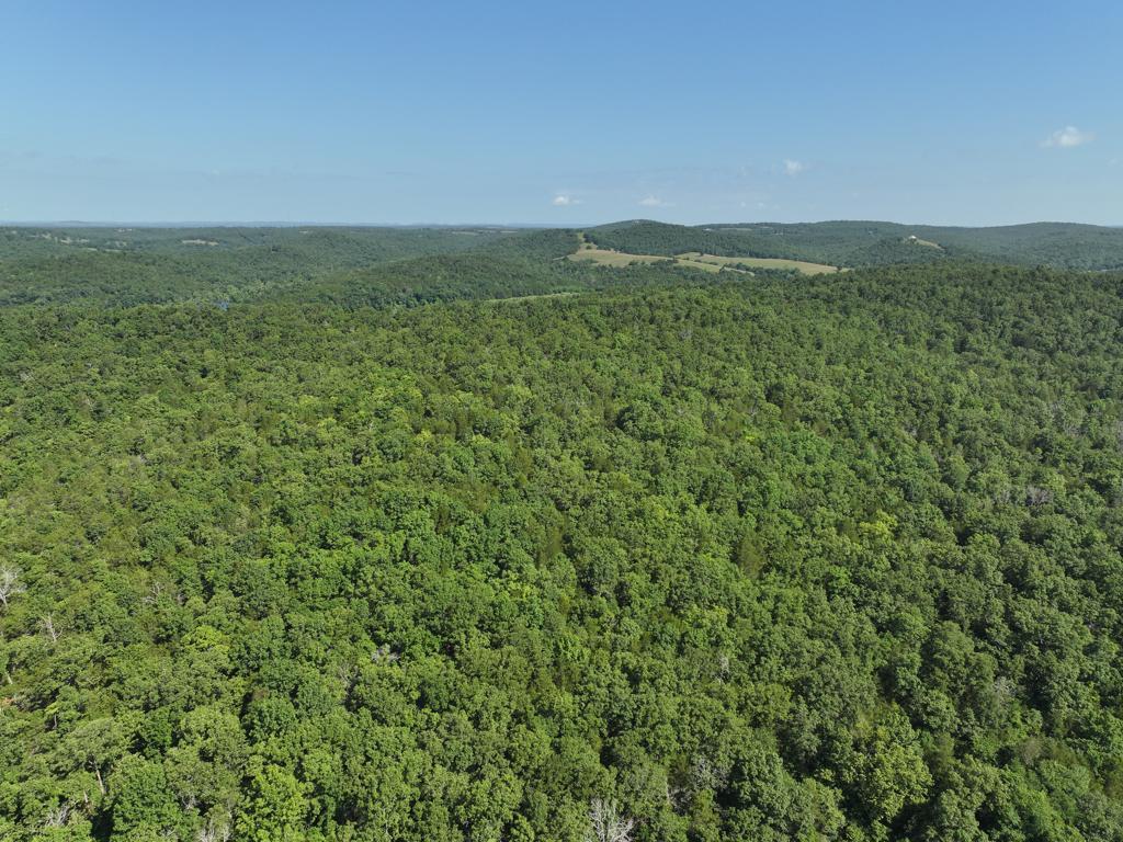 000 County Road 630 Property Photo 29