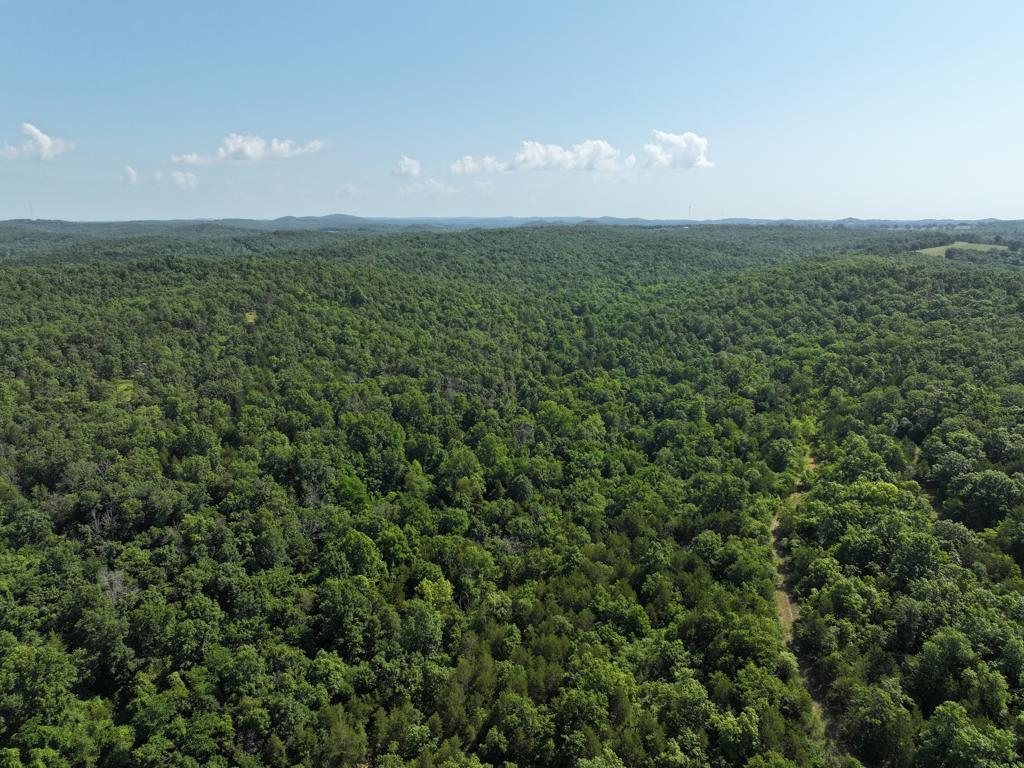 000 County Road 630 Property Photo 34