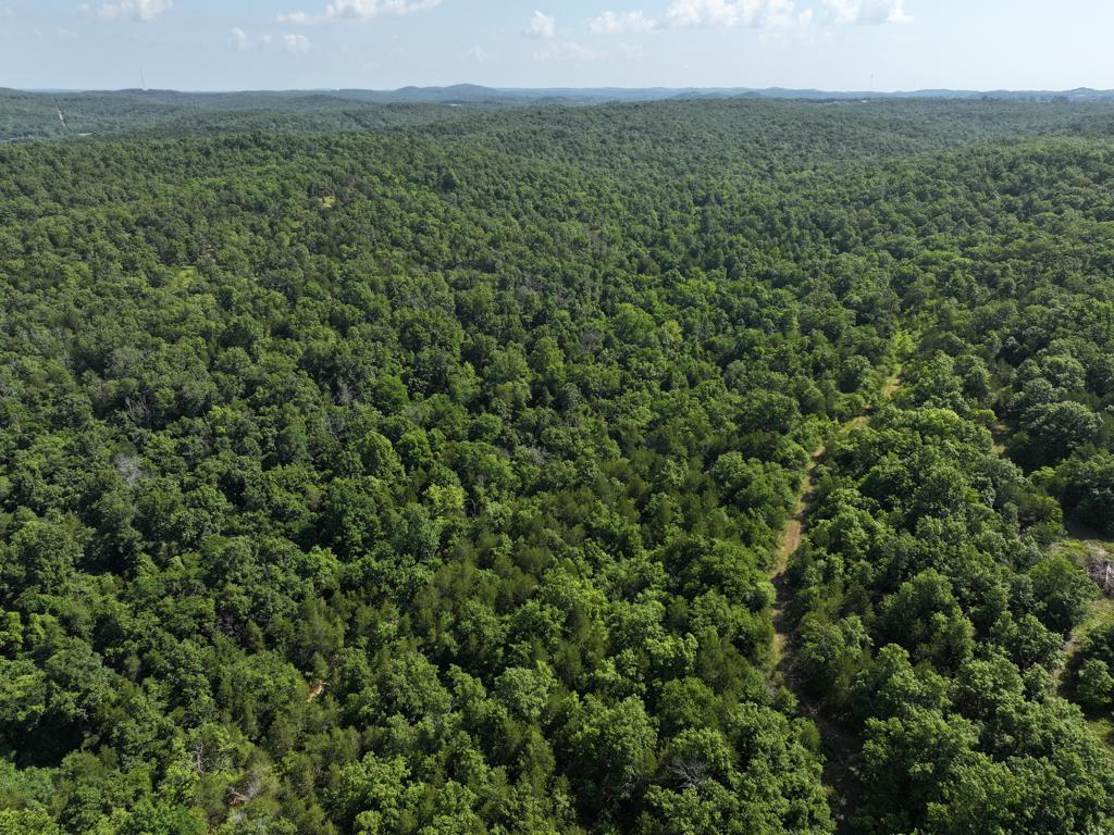 000 County Road 630 Property Photo 35