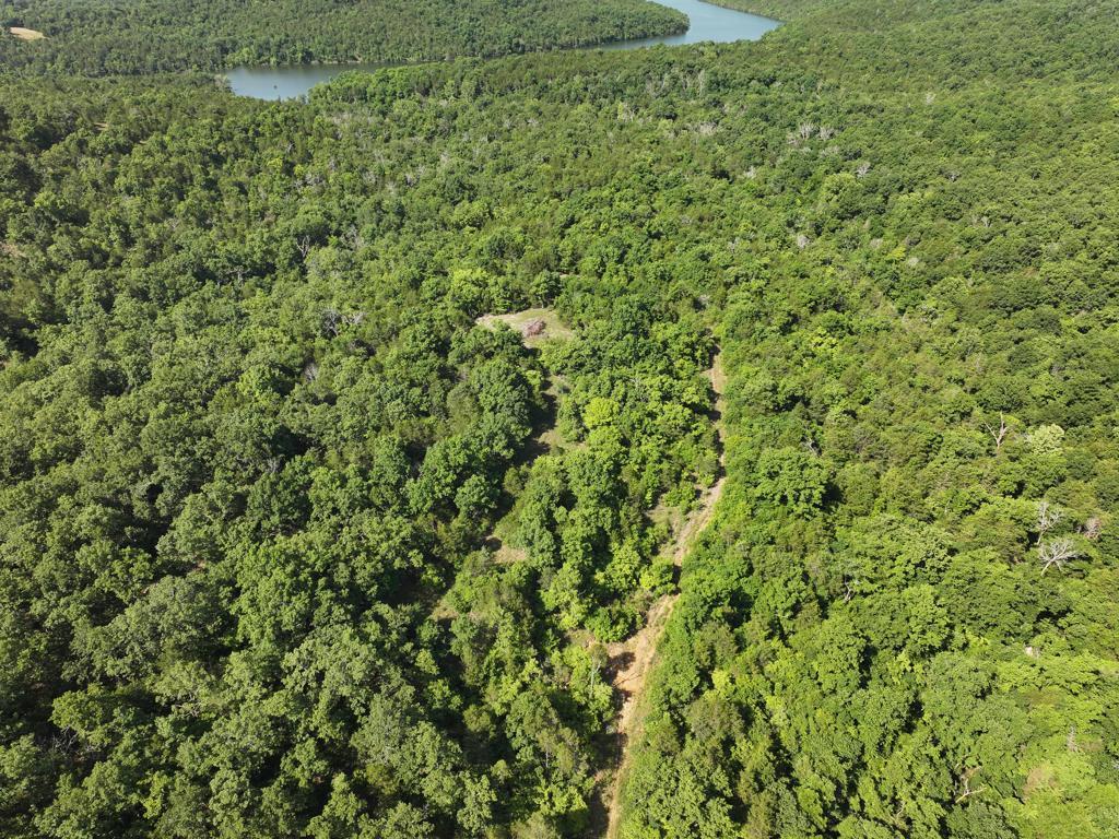 000 County Road 630 Property Photo 39