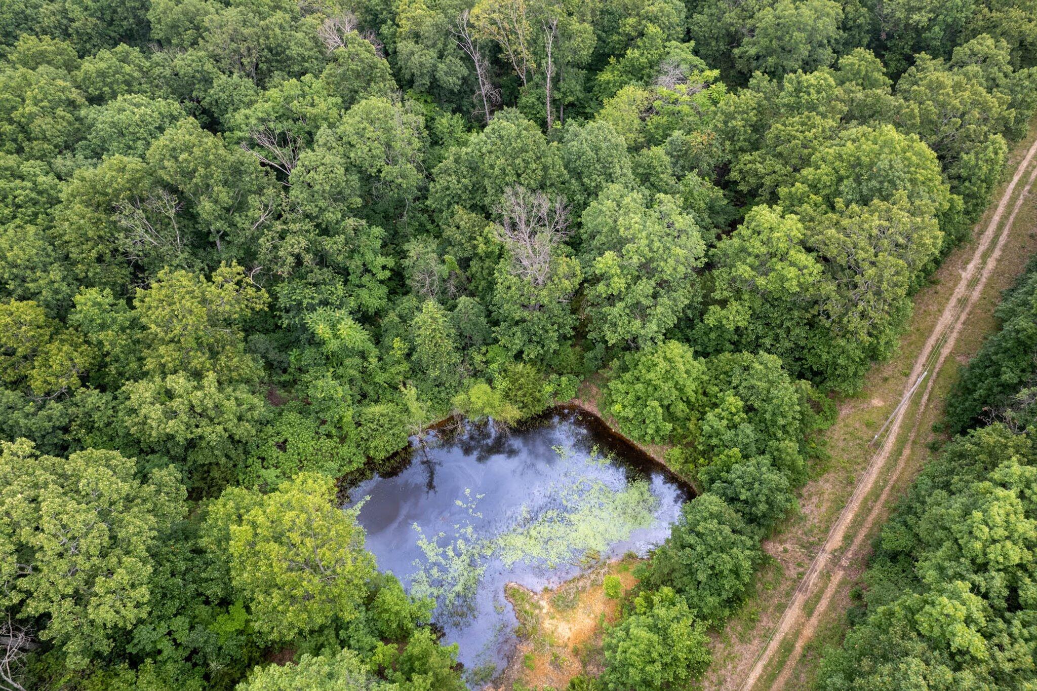 Tbd Highway 13 Property Photo 5