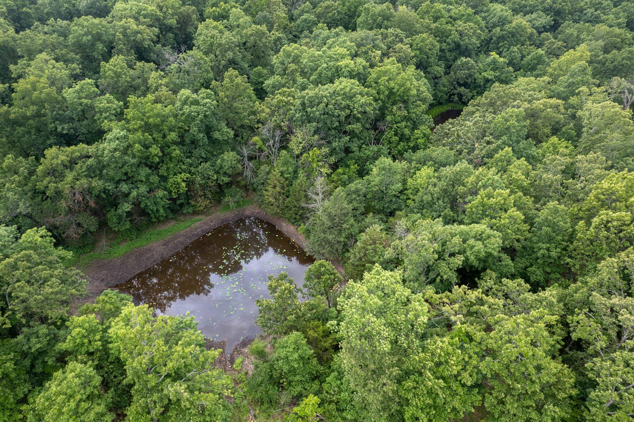 Tbd Highway 13 Property Photo 7