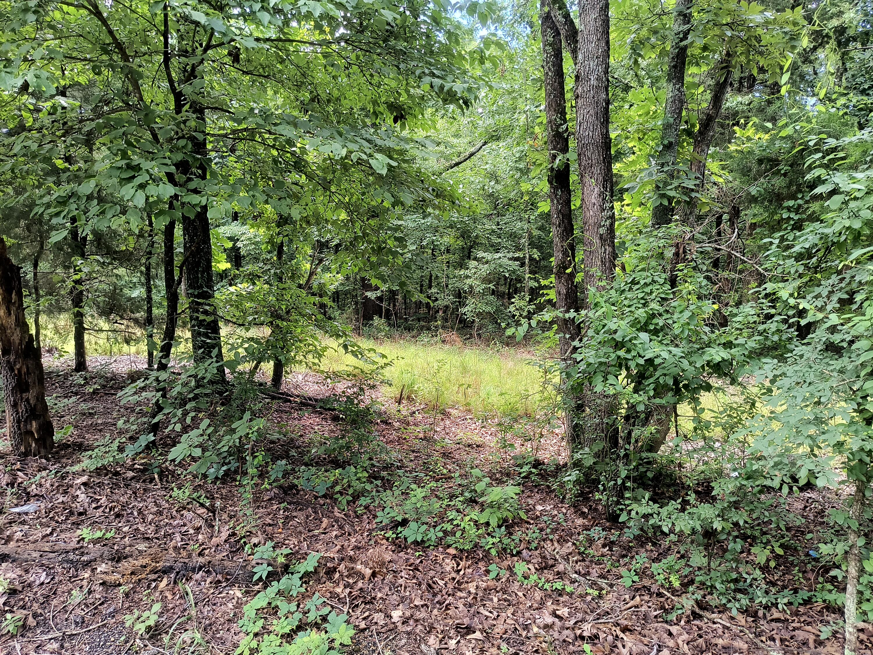 000 Hwy 160 Property Photo 4