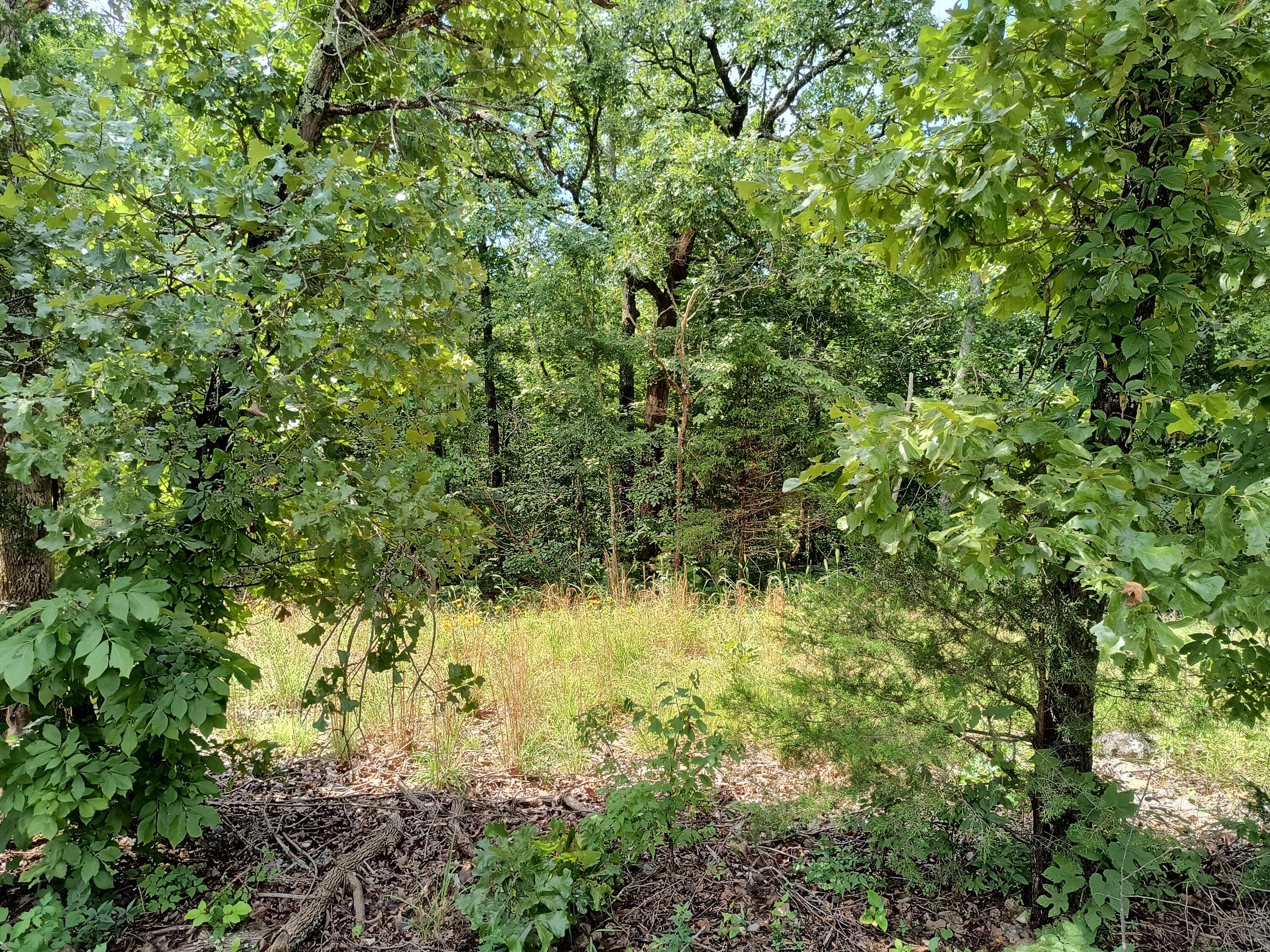 000 Hwy 160 Property Photo 5