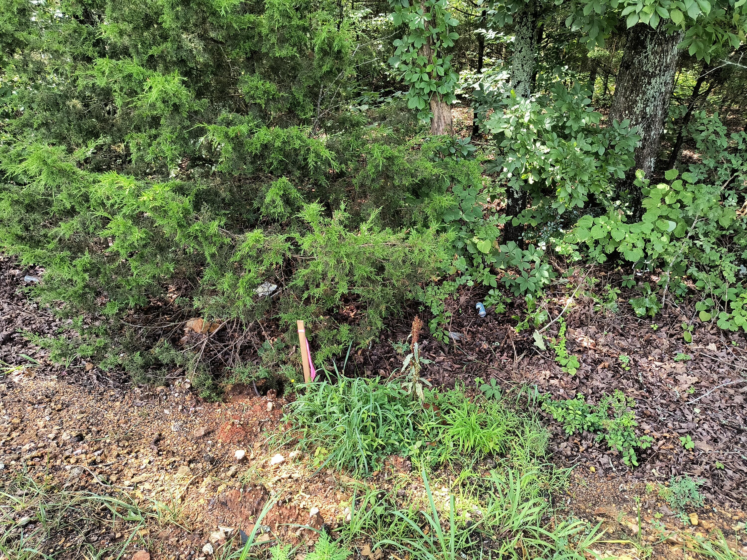 000 Hwy 160 Property Photo 6