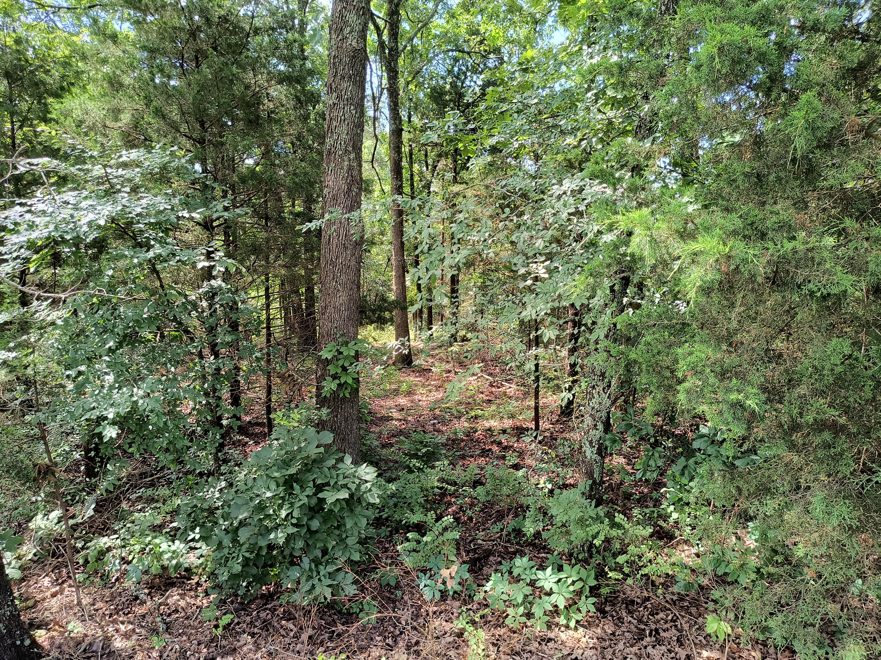 000 Hwy 160 Property Photo 7